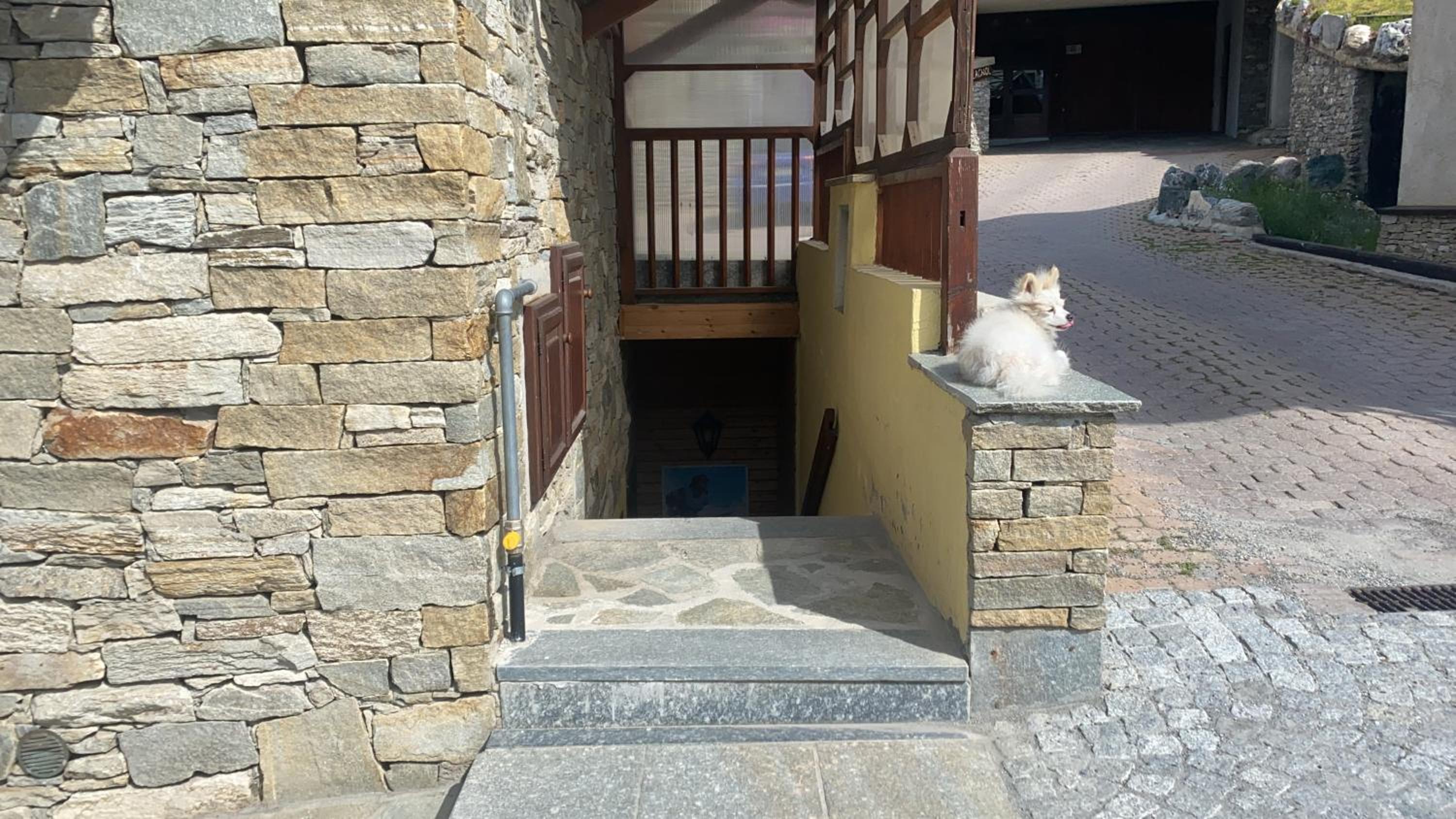 Photo 46