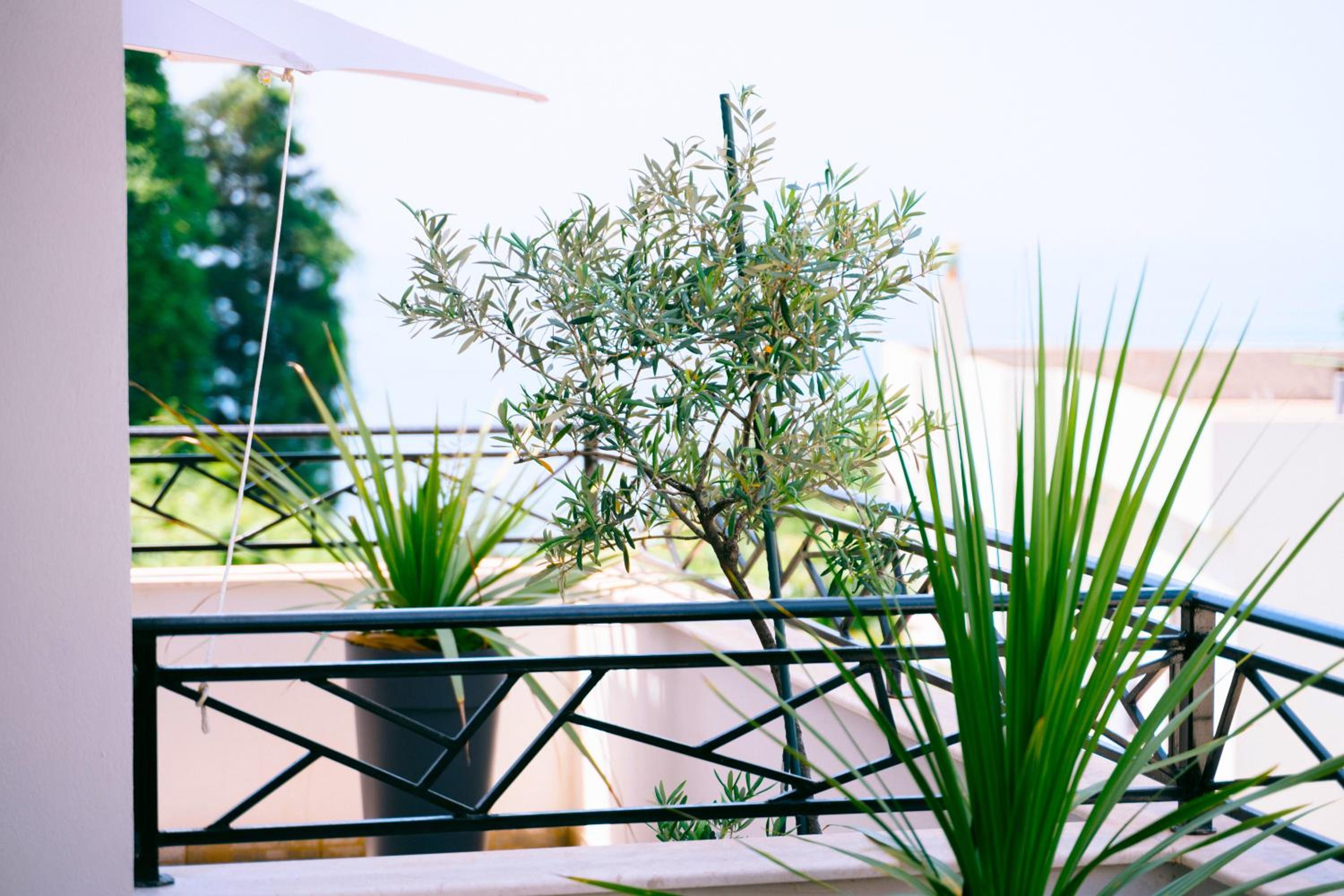 Apartments Lungo Mare Ulcinj