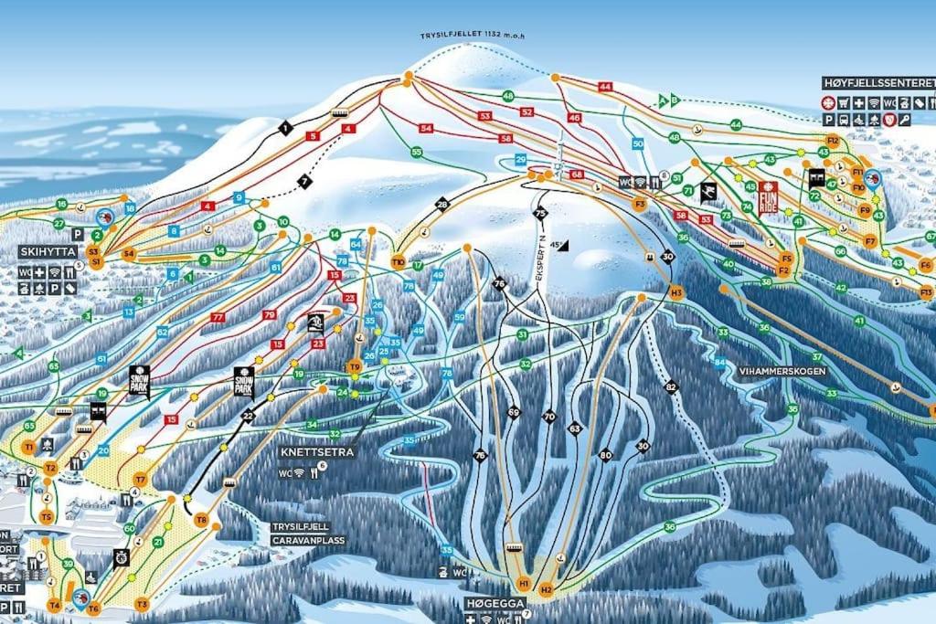 Koselig fjellhytte i Trysil Ski & Turmuligheter