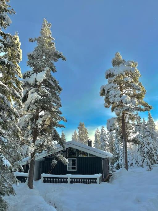 Koselig fjellhytte i Trysil Ski & Turmuligheter