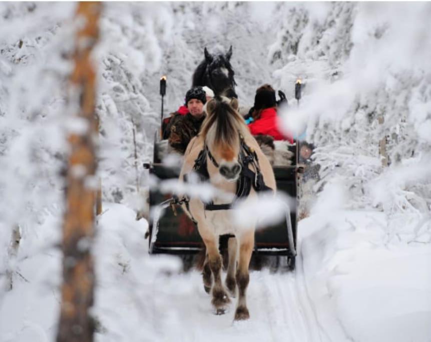 Koselig fjellhytte i Trysil Ski & Turmuligheter