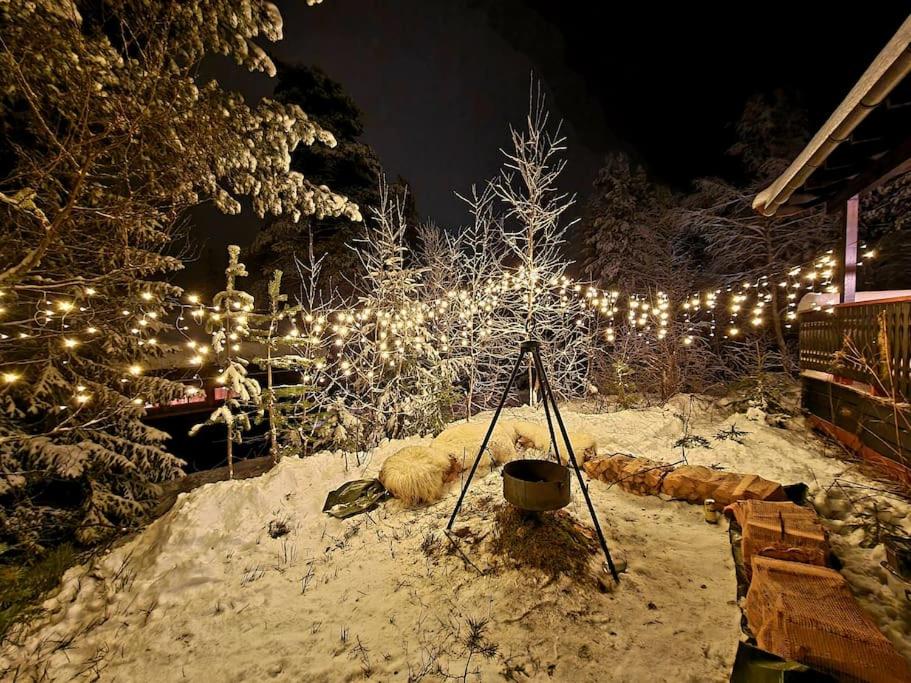 Koselig fjellhytte i Trysil Ski & Turmuligheter