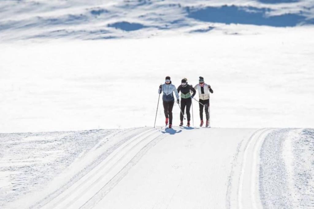 Koselig fjellhytte i Trysil Ski & Turmuligheter