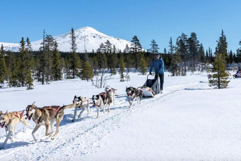 Koselig fjellhytte i Trysil Ski & Turmuligheter