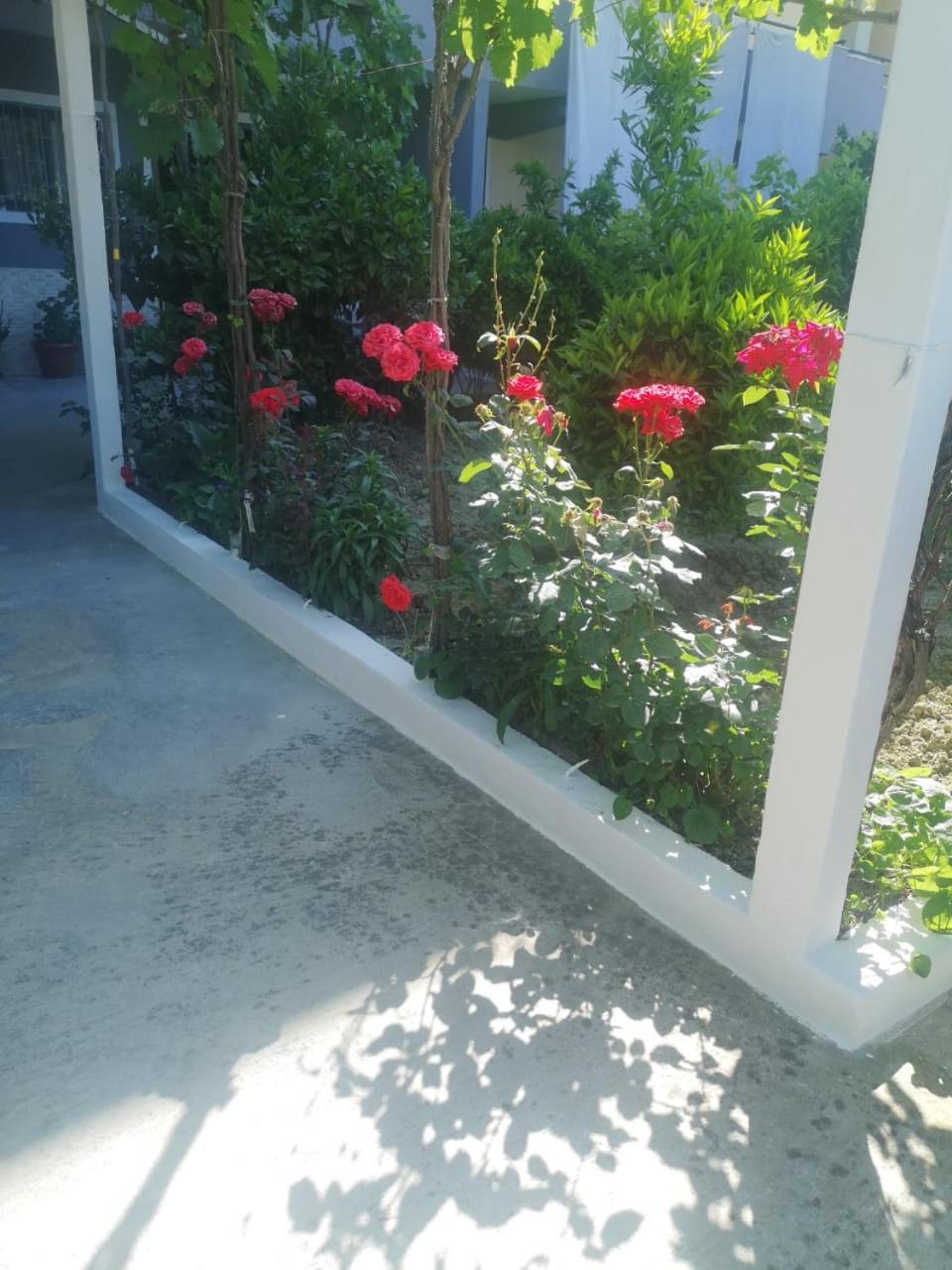 Guest House Emi
