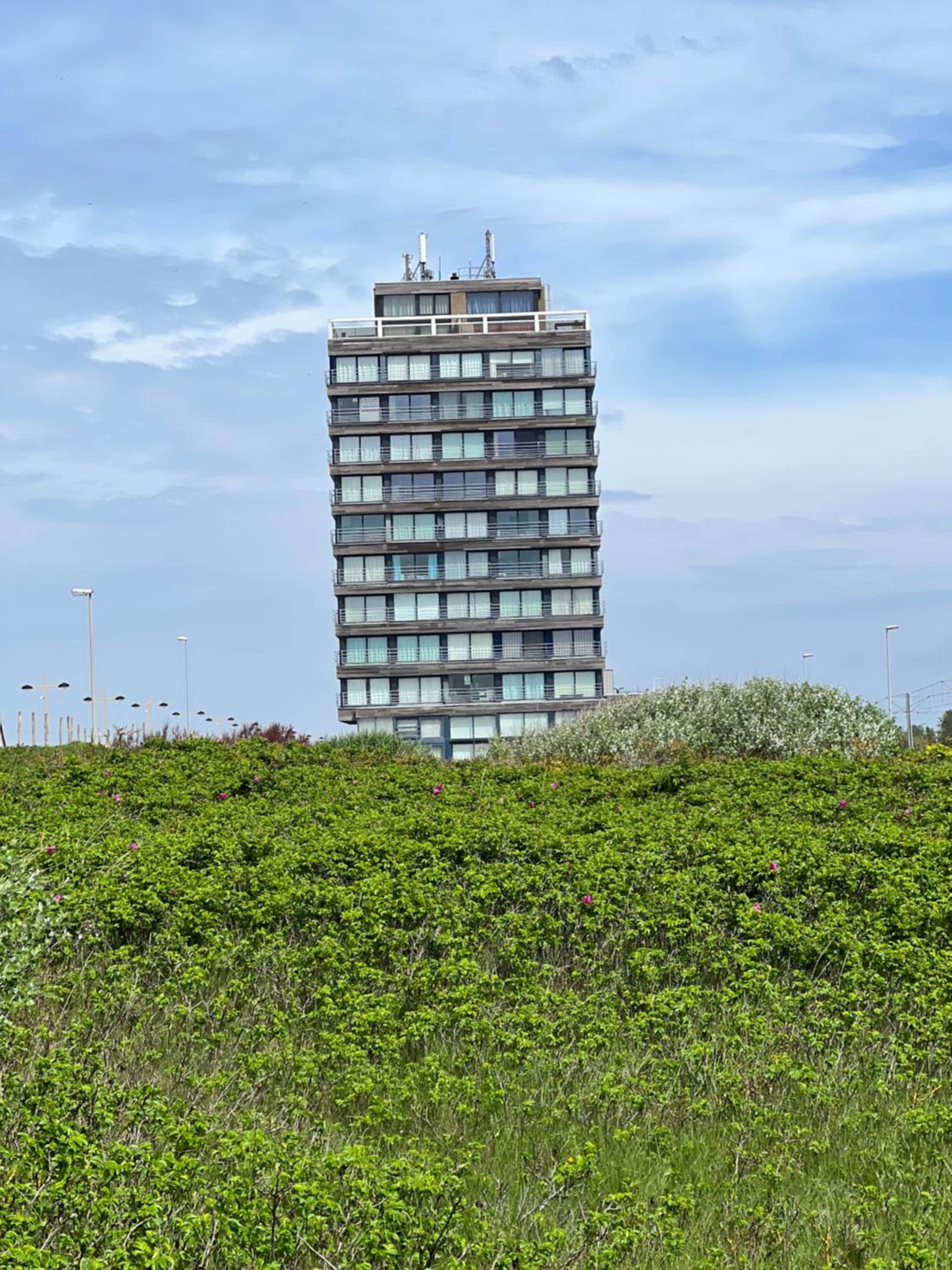 Met de voeten in de zee