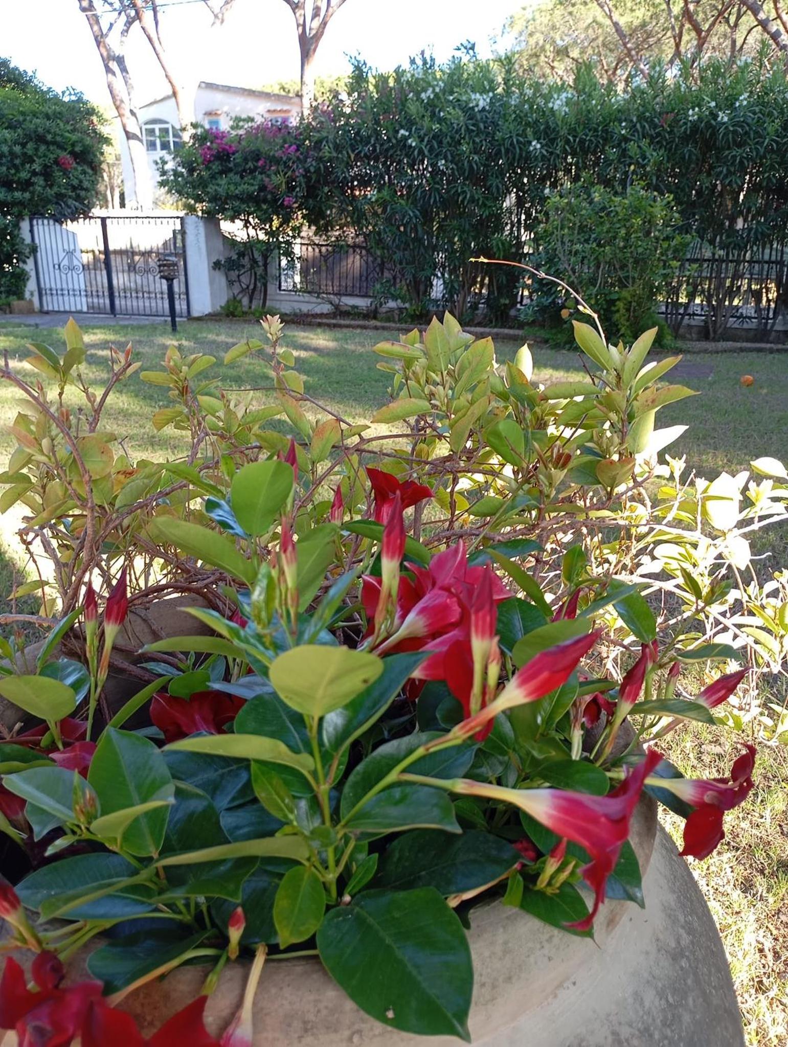 Photo 48