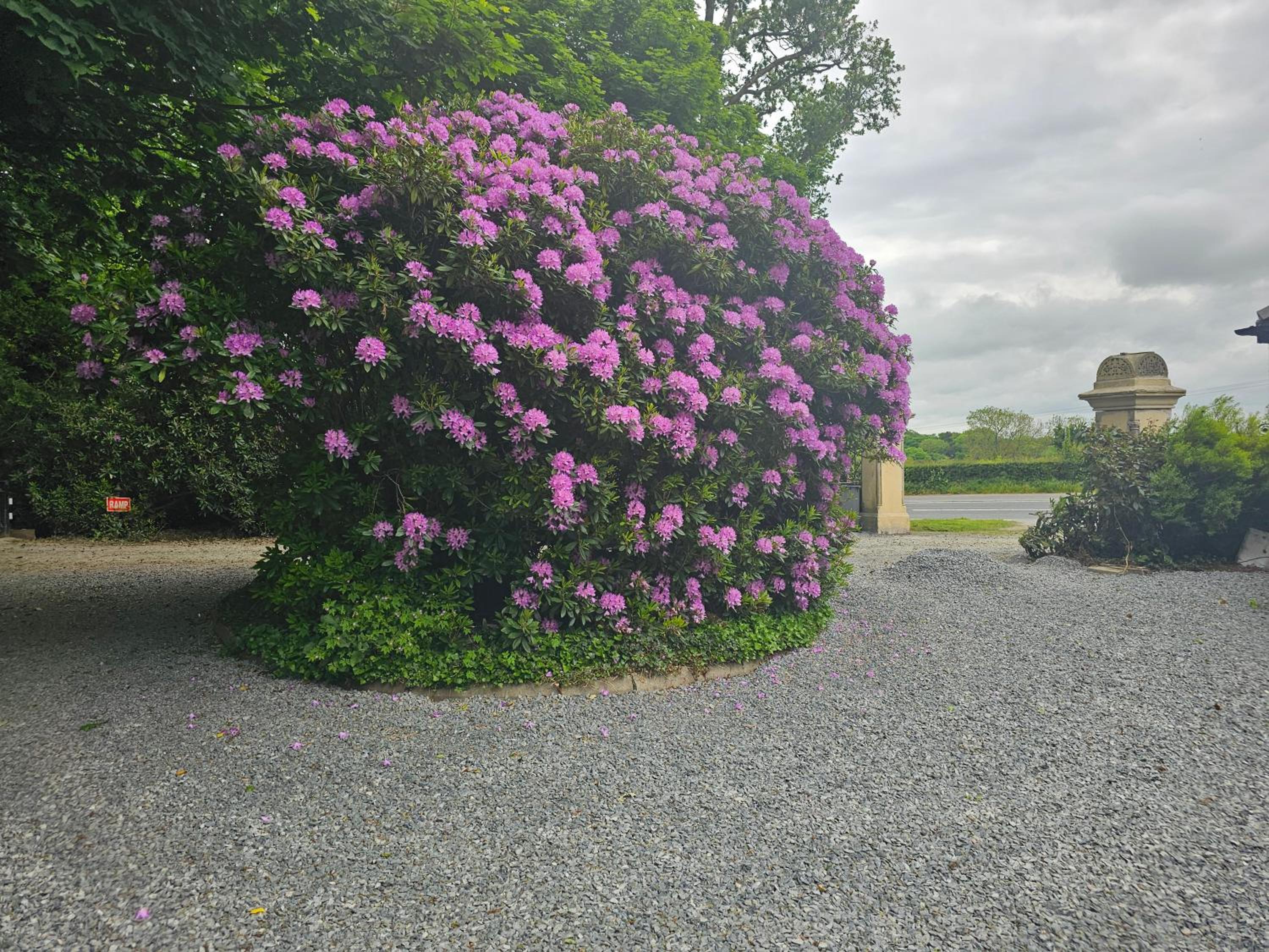 Mountpanther Holiday House