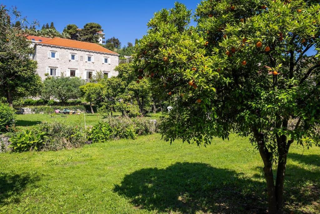 Heritage Villa Baković