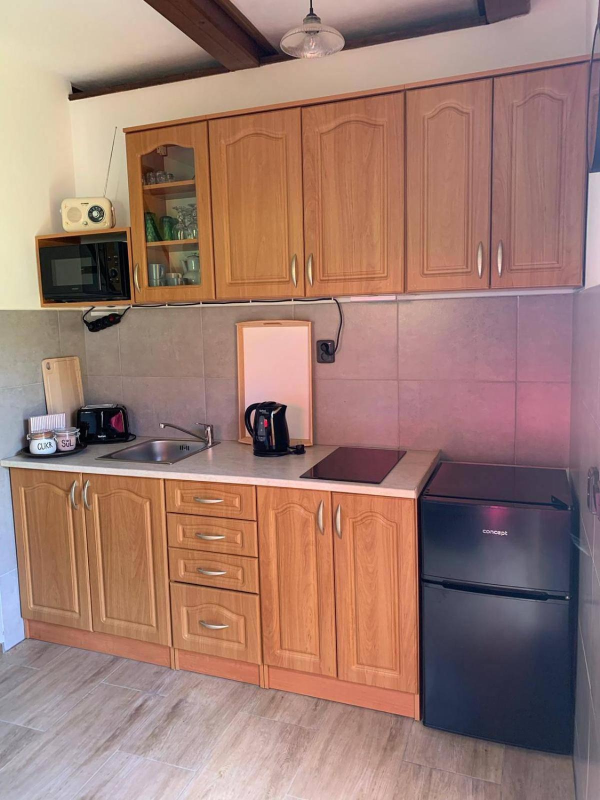 Apartmán U Růži