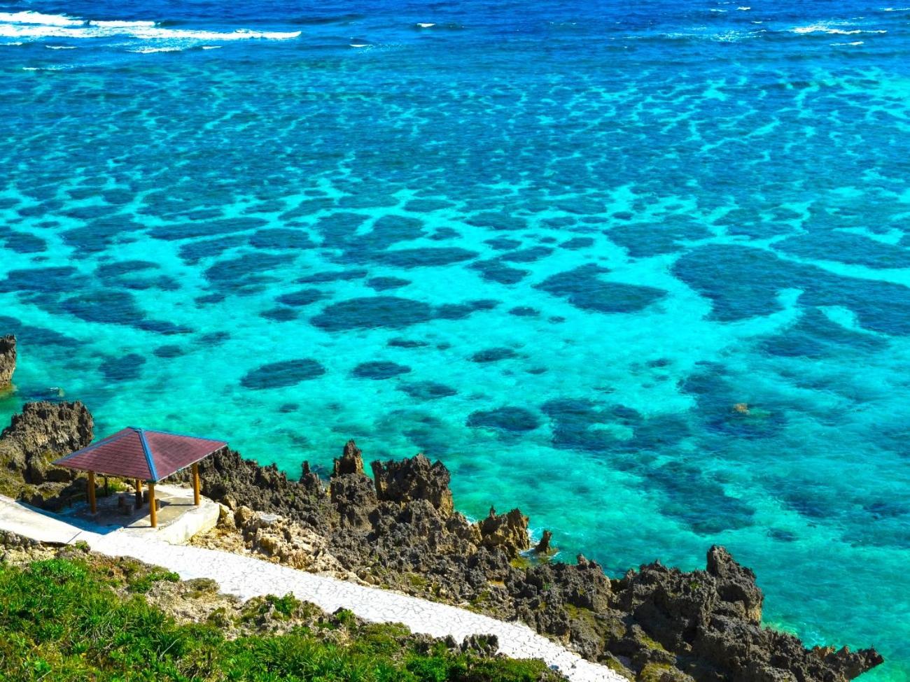 Allamanda Imgya Coral Village