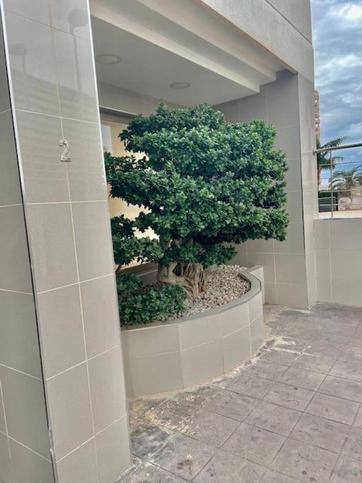 Enjoy Apartment hermosa vista al mar, perfecto para ciclistas
