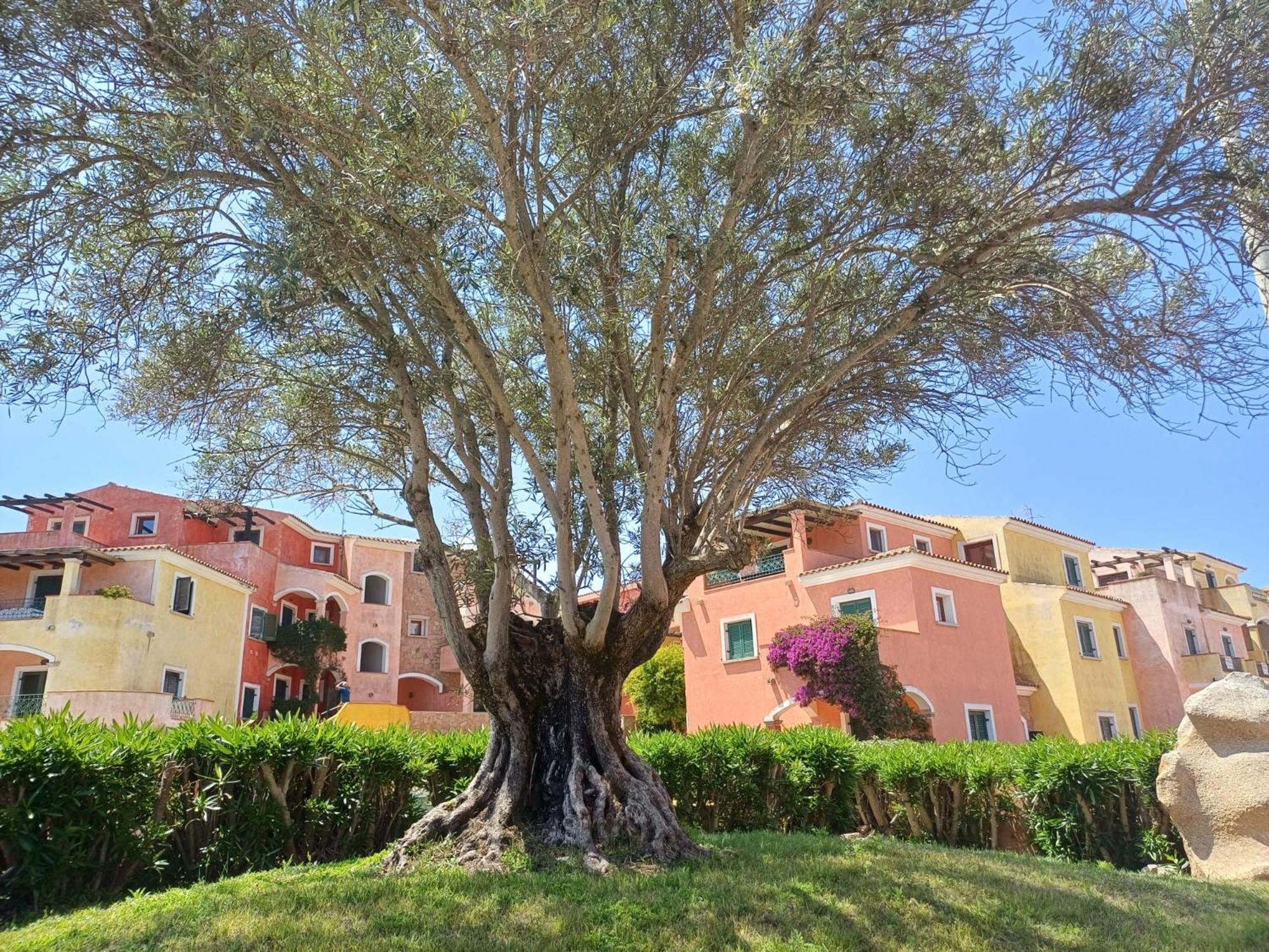 Casa Ginevra photo 3