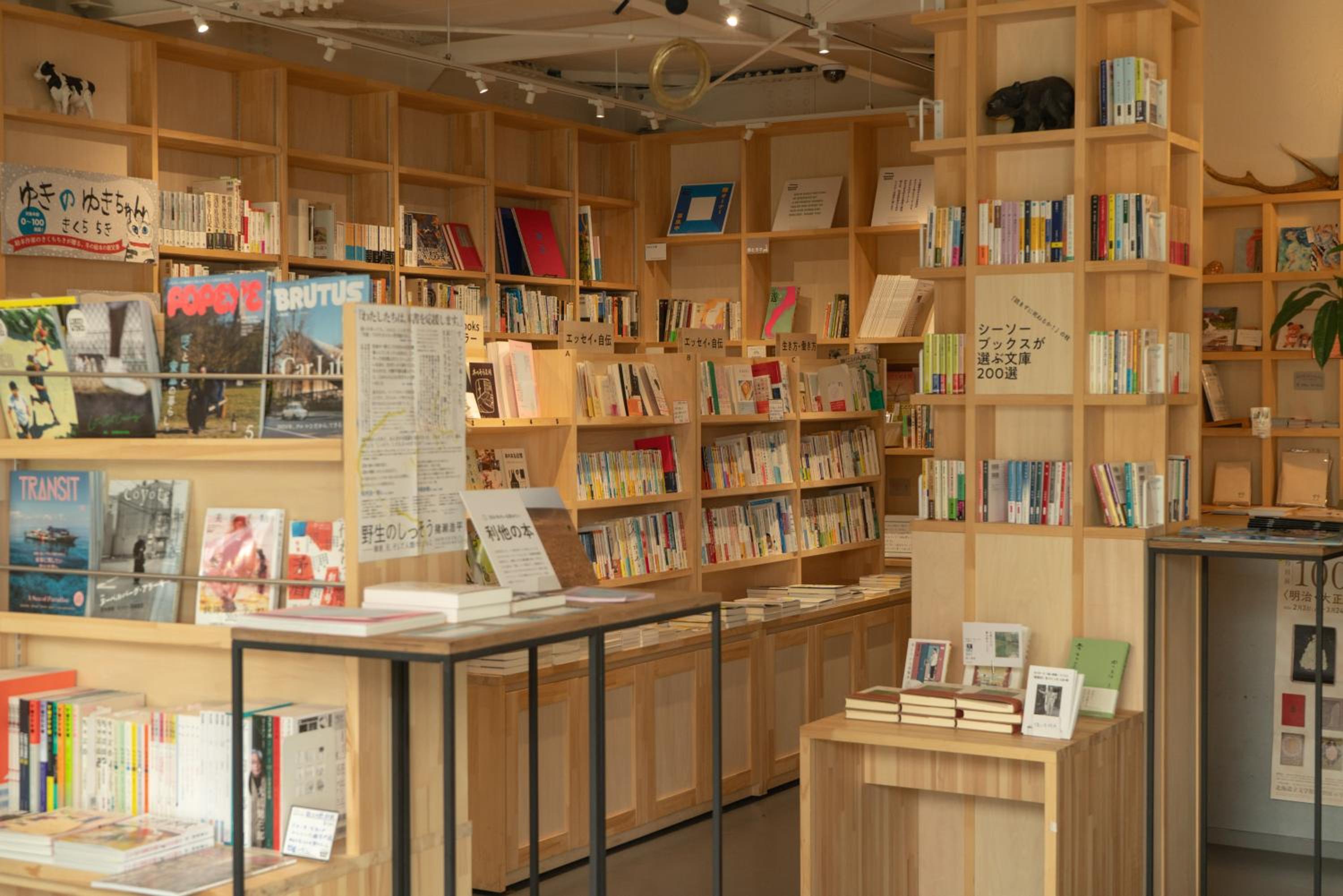 Untapped Hostel