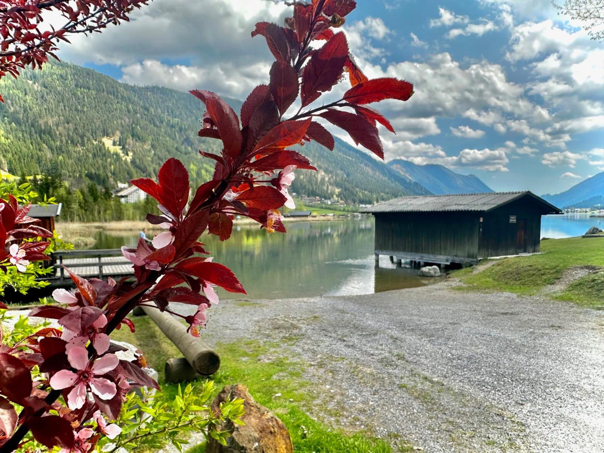 Alpenblick Apartment