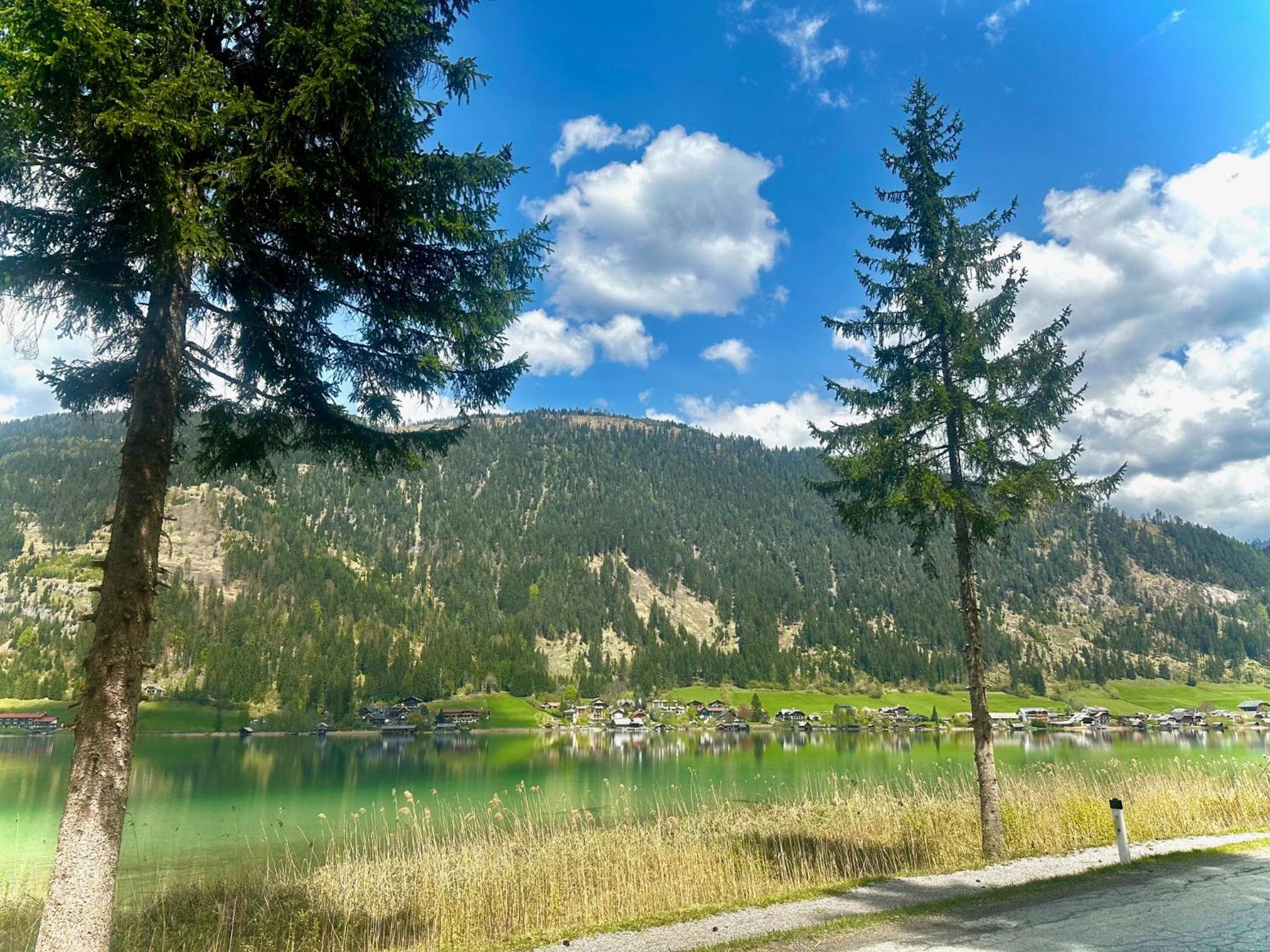 Alpenblick Apartment