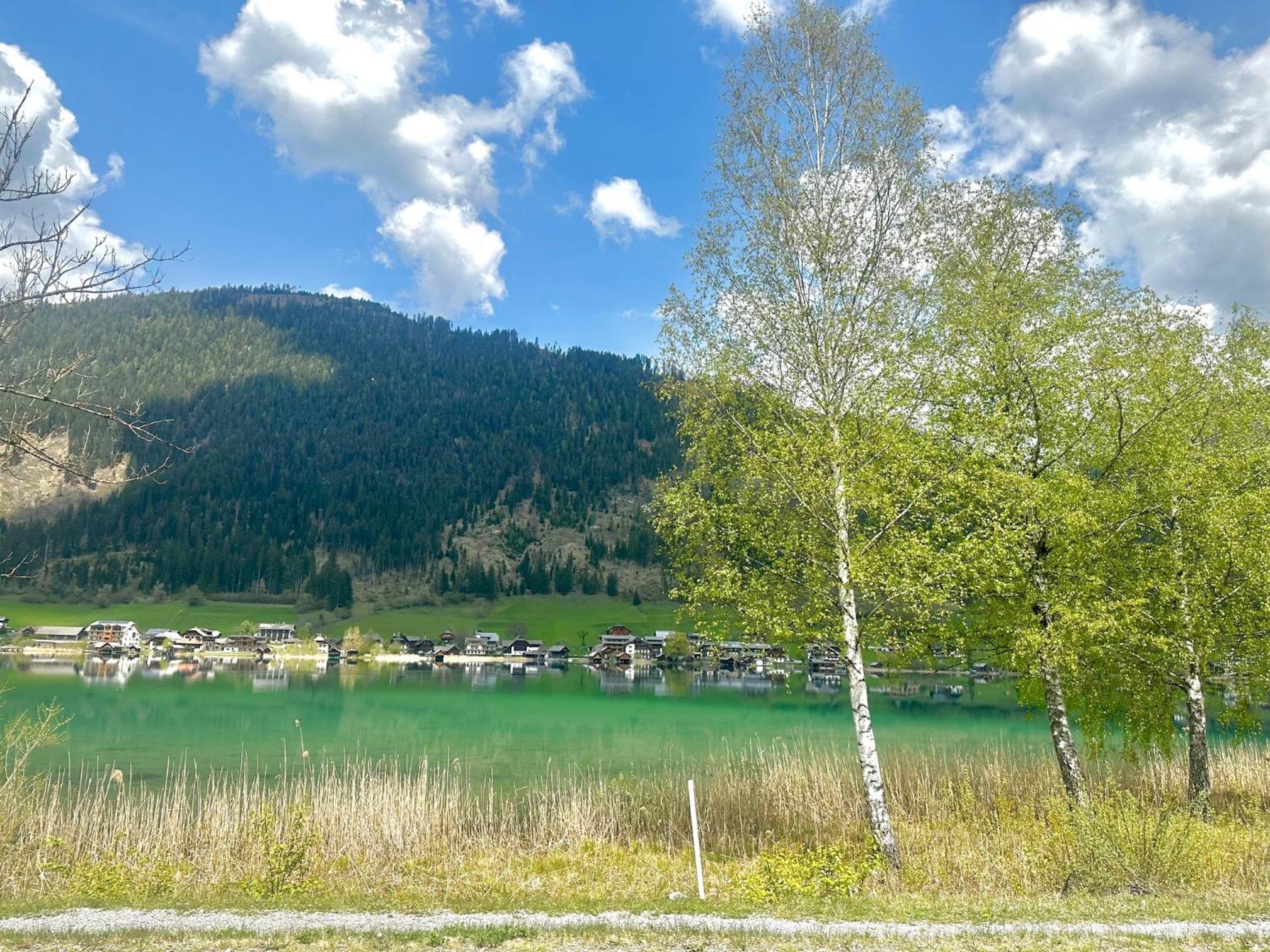 Alpenblick Apartment