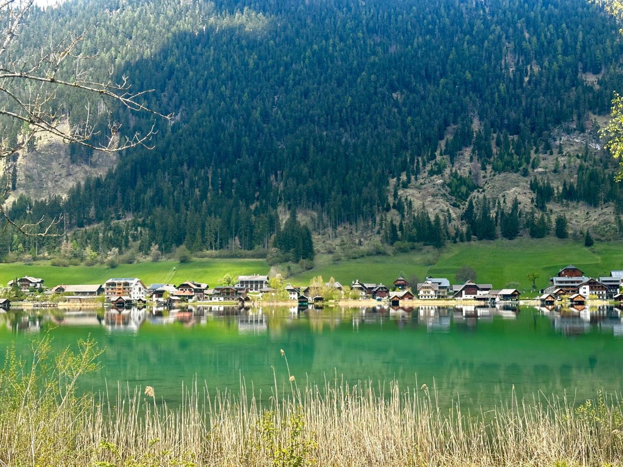 Alpenblick Apartment