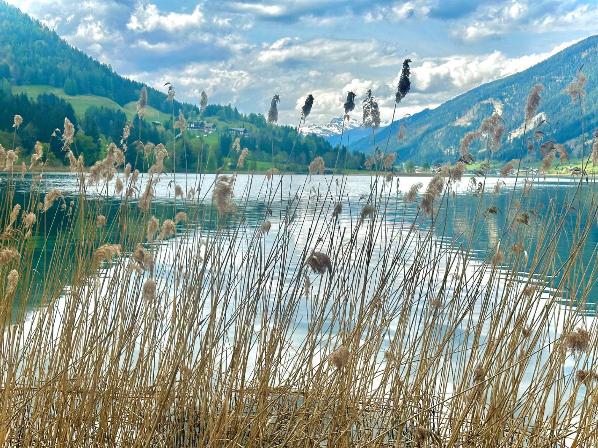 Alpenblick Apartment