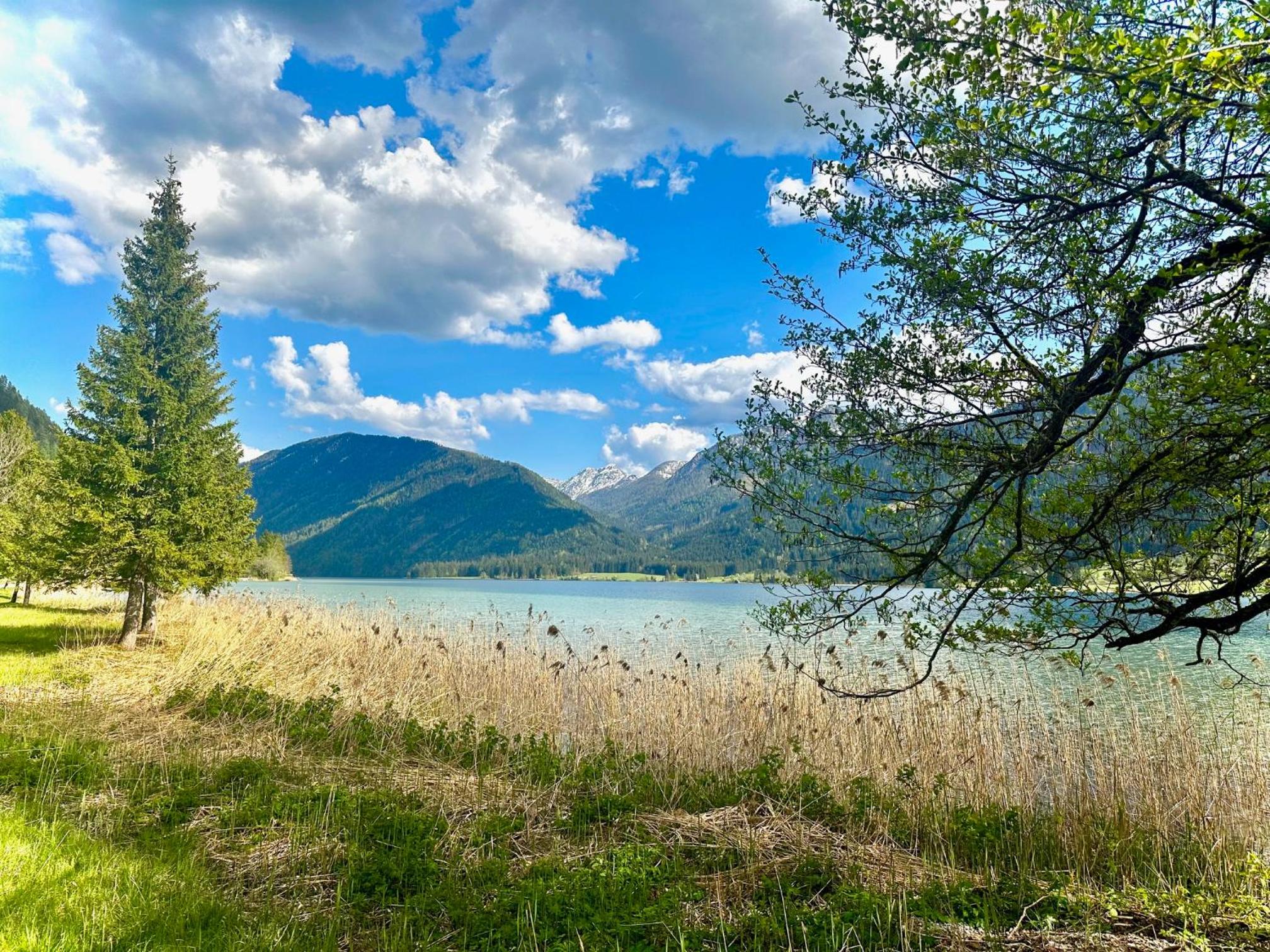 Alpenblick Apartment
