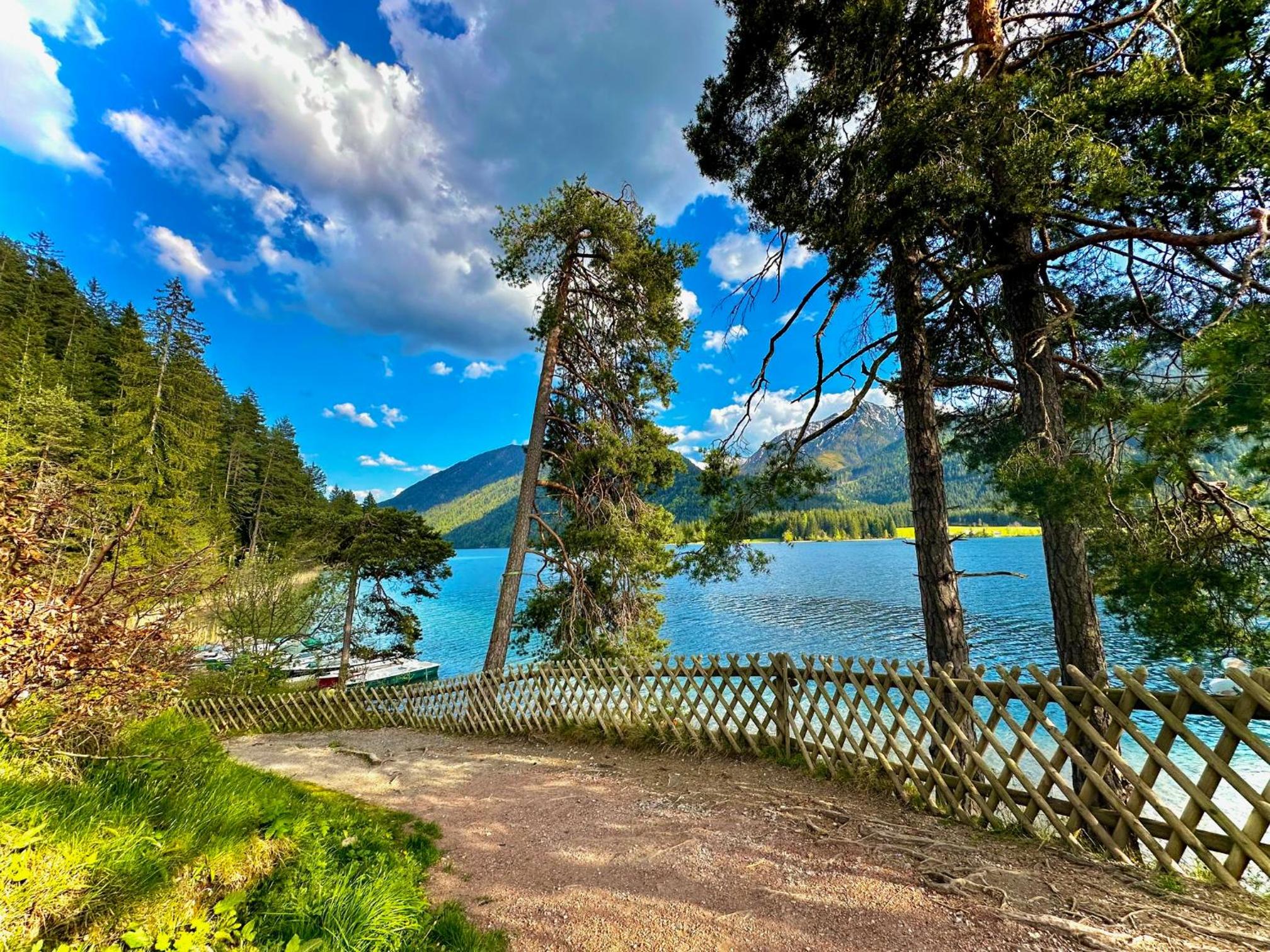 Alpenblick Apartment