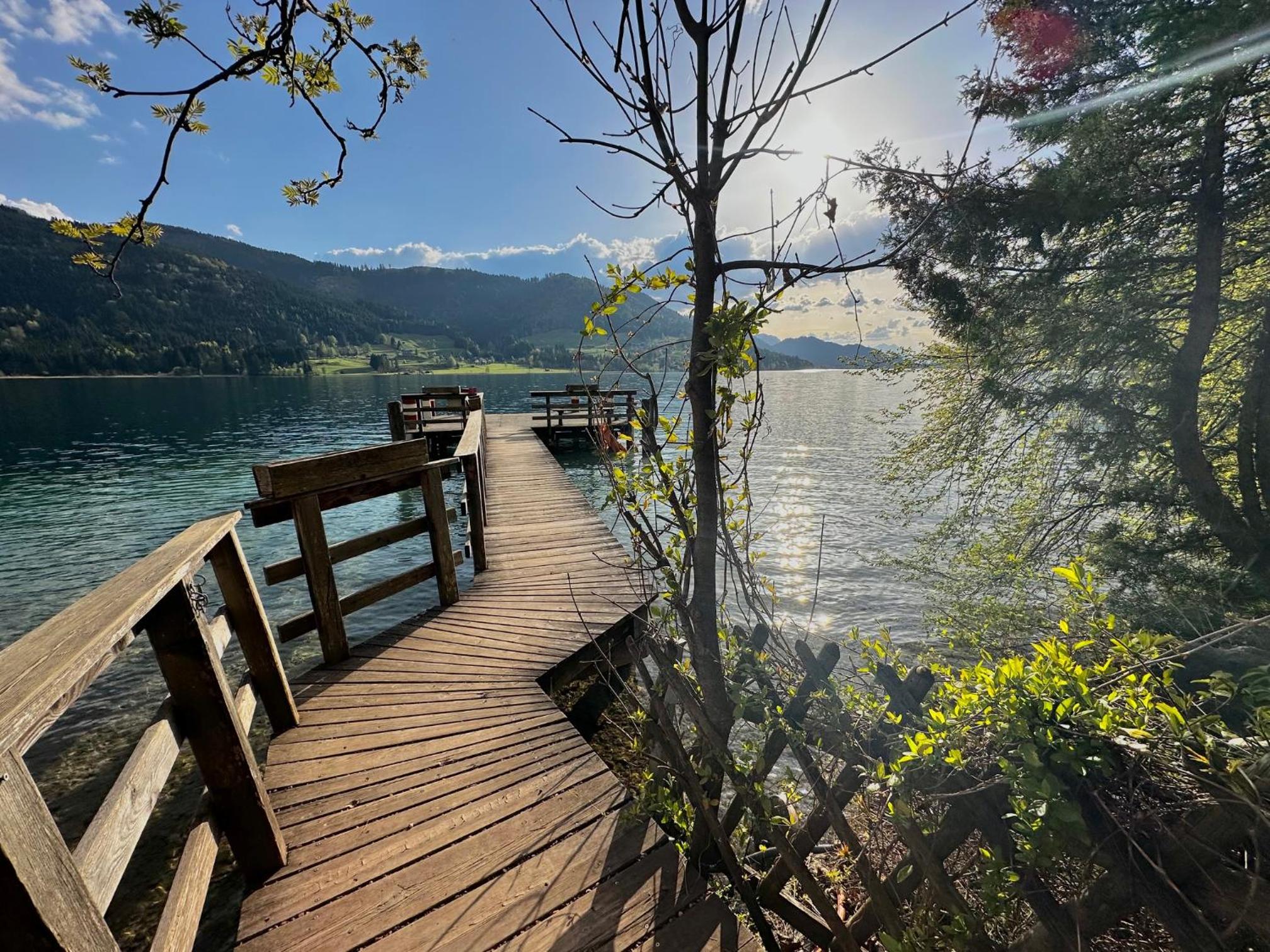 Alpenblick Apartment
