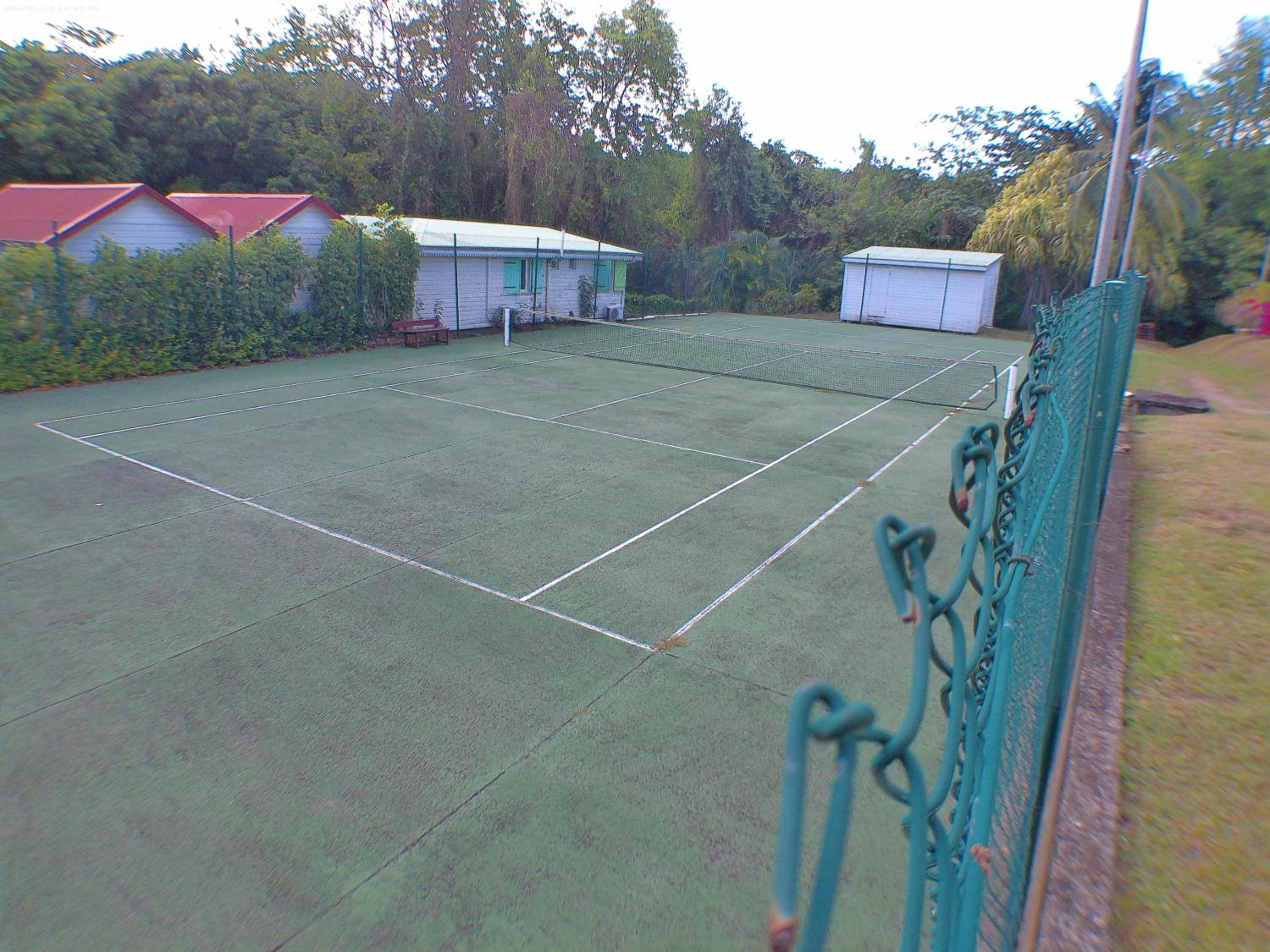 Photo 16