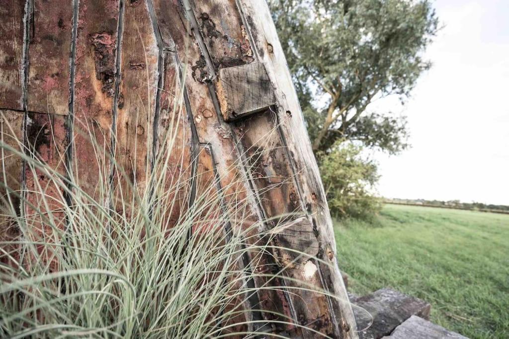 Unique glamping experience near Ely & Cambridge view 4