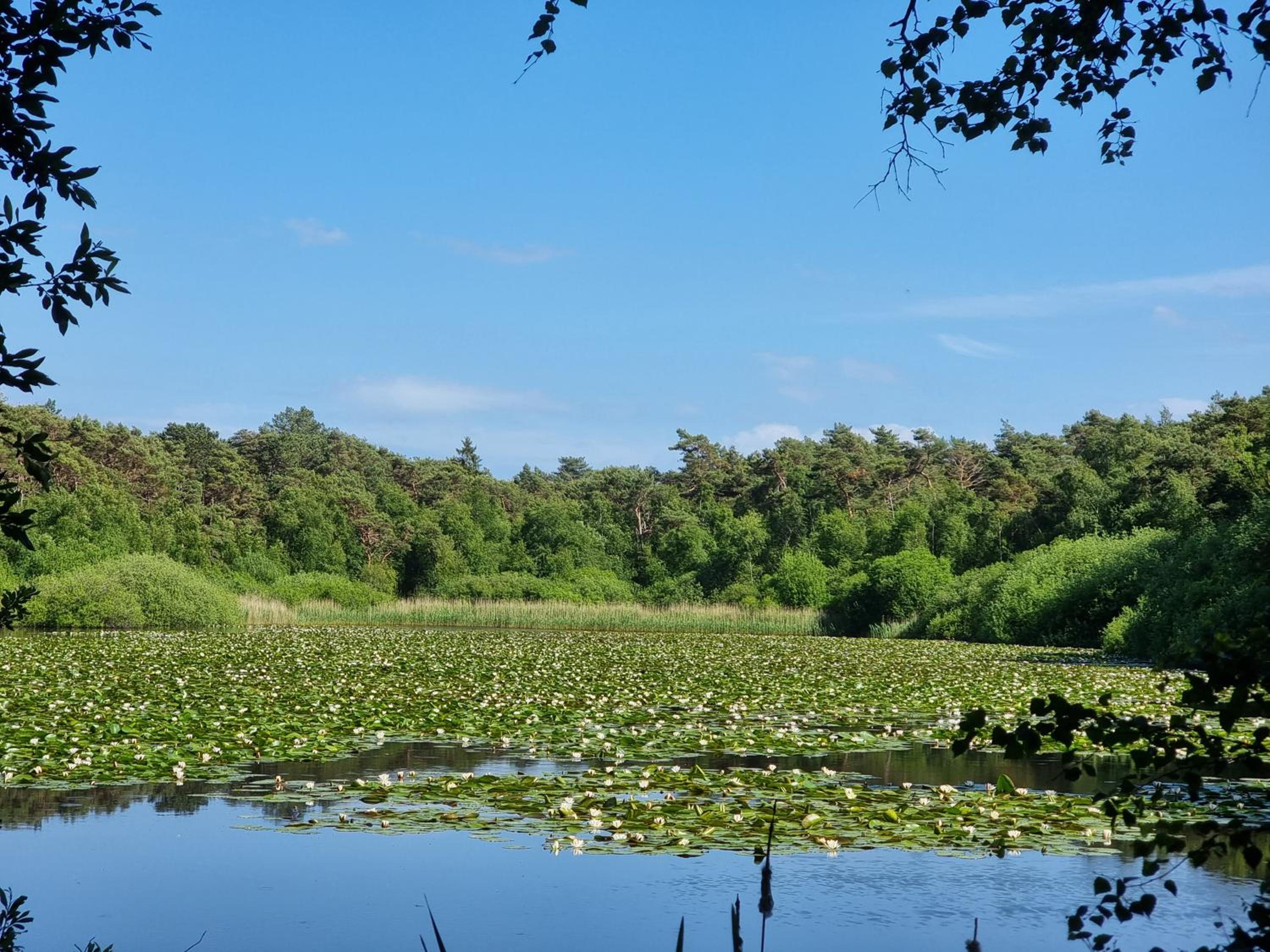 Frische Brise Wohnung 1301
