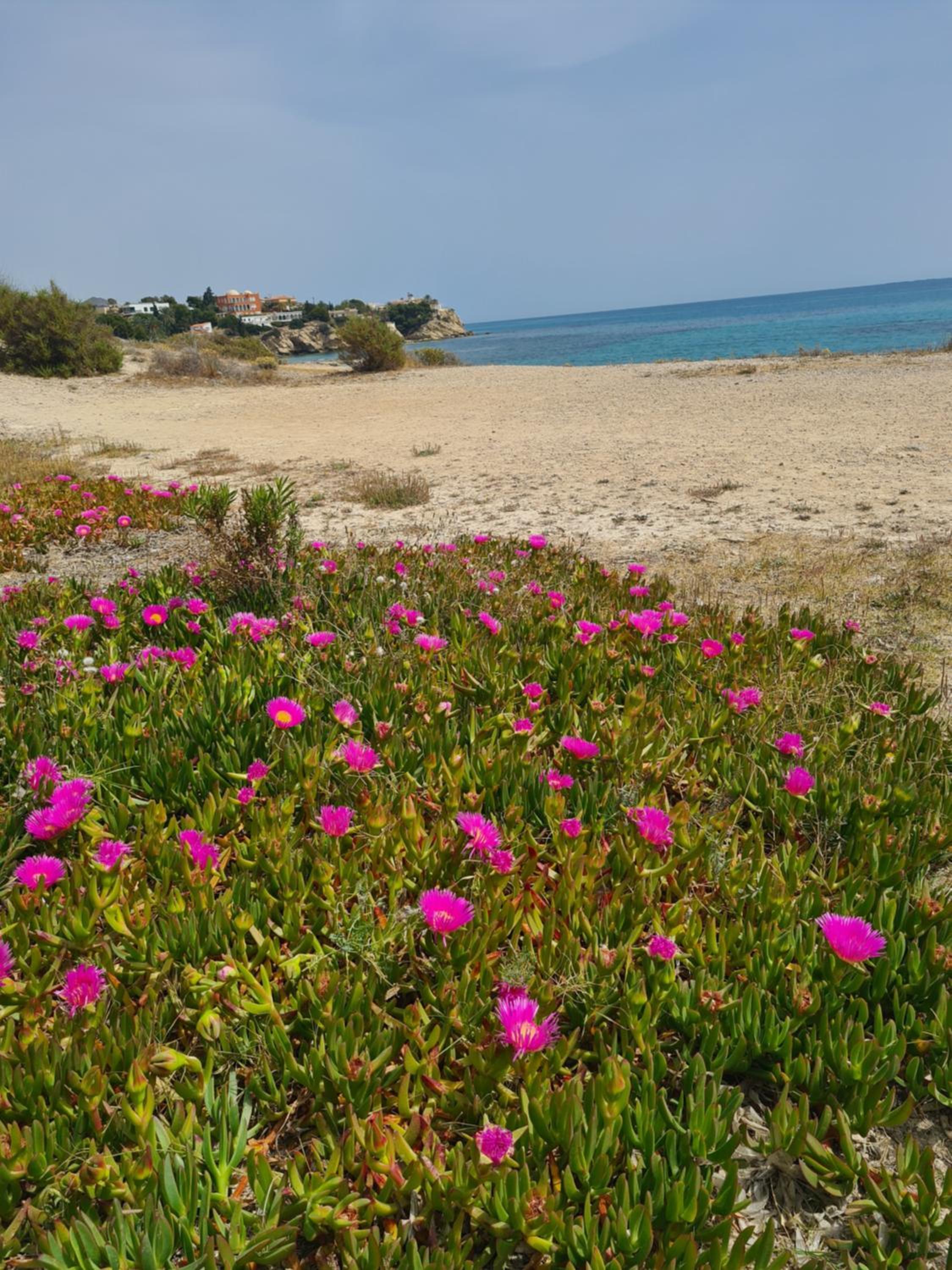 Alkabir Playa Kate's Beach House