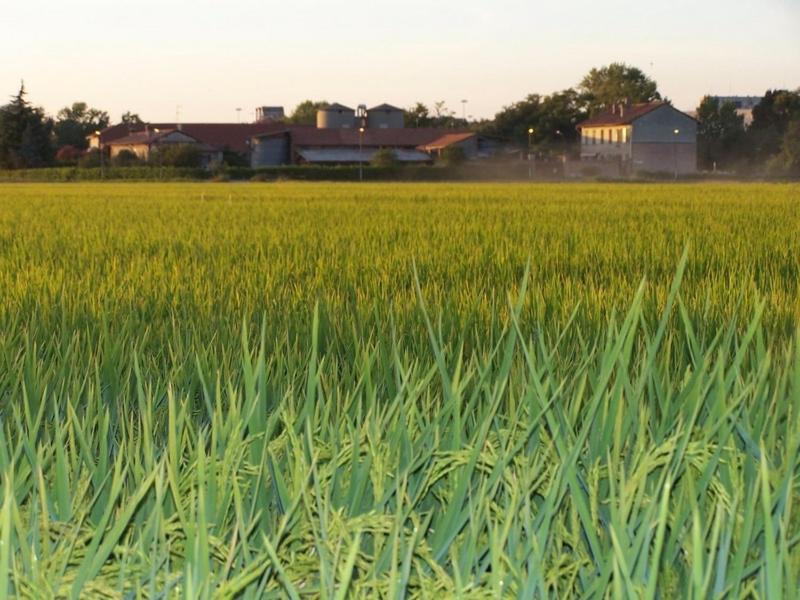 Cascina Battivacco