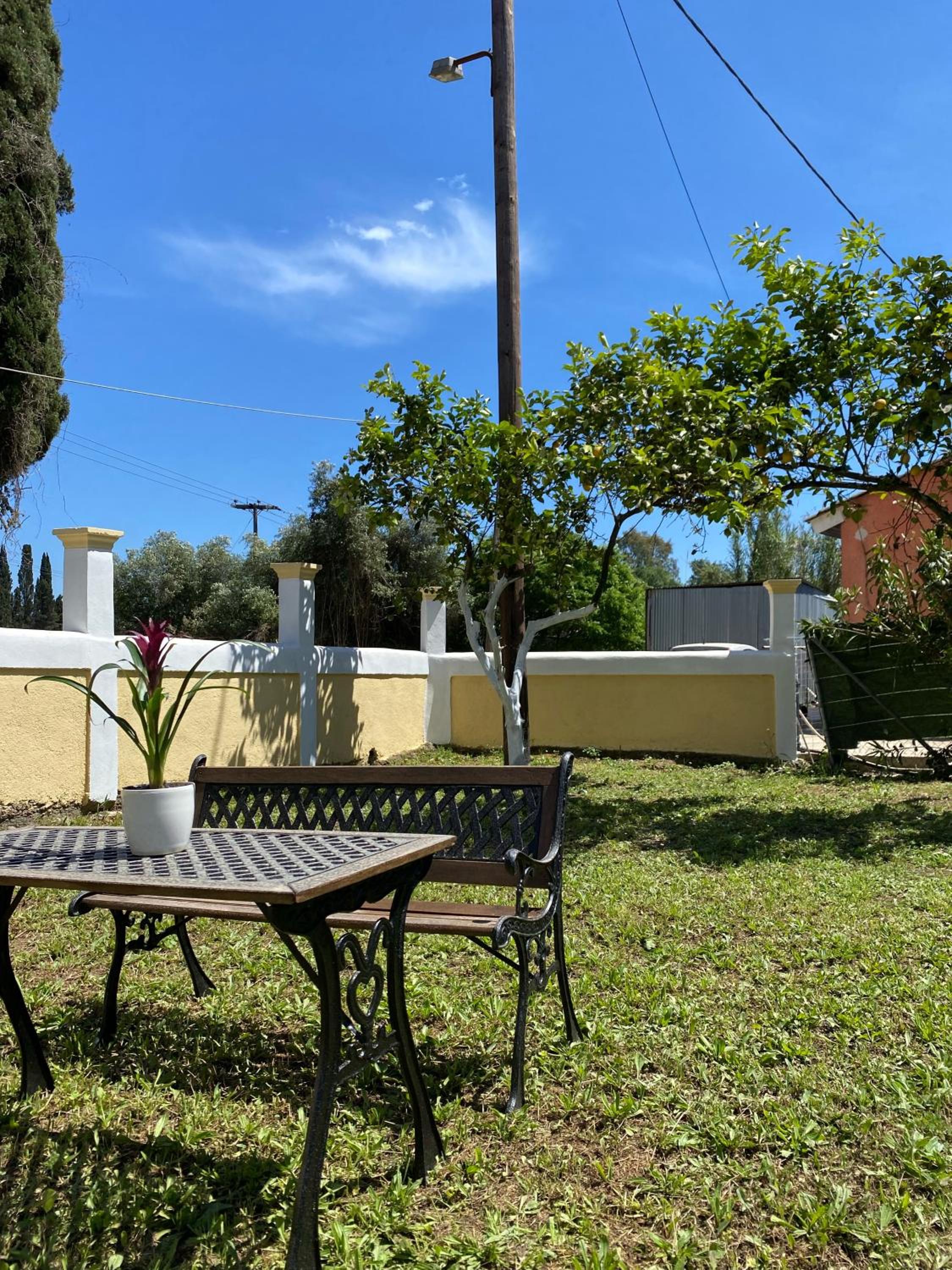 Photo 41