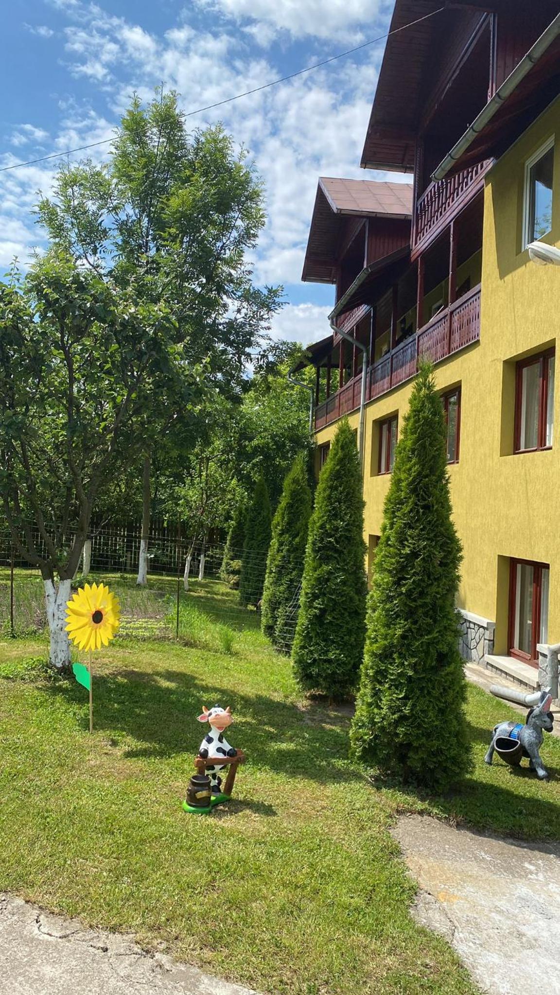 Vila Drumetului