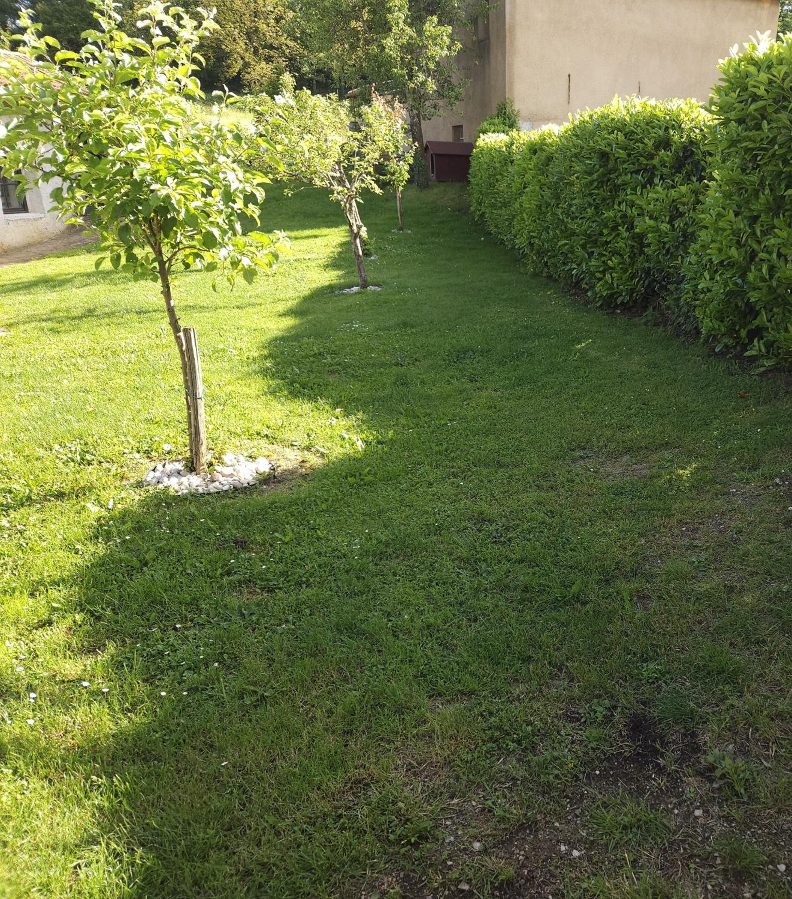 Apartma Lavanda