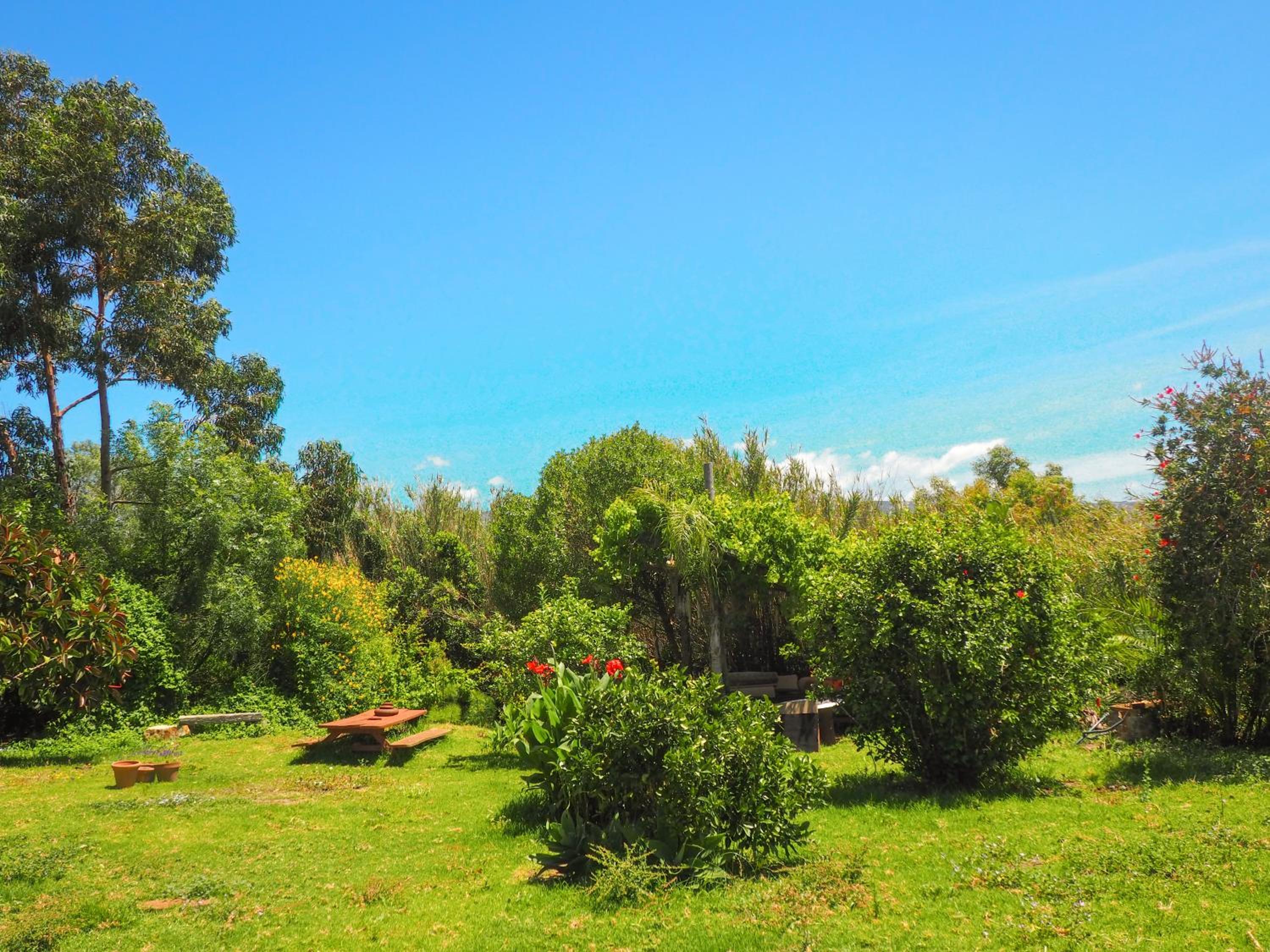Tarifa Apartement Horses and Nature