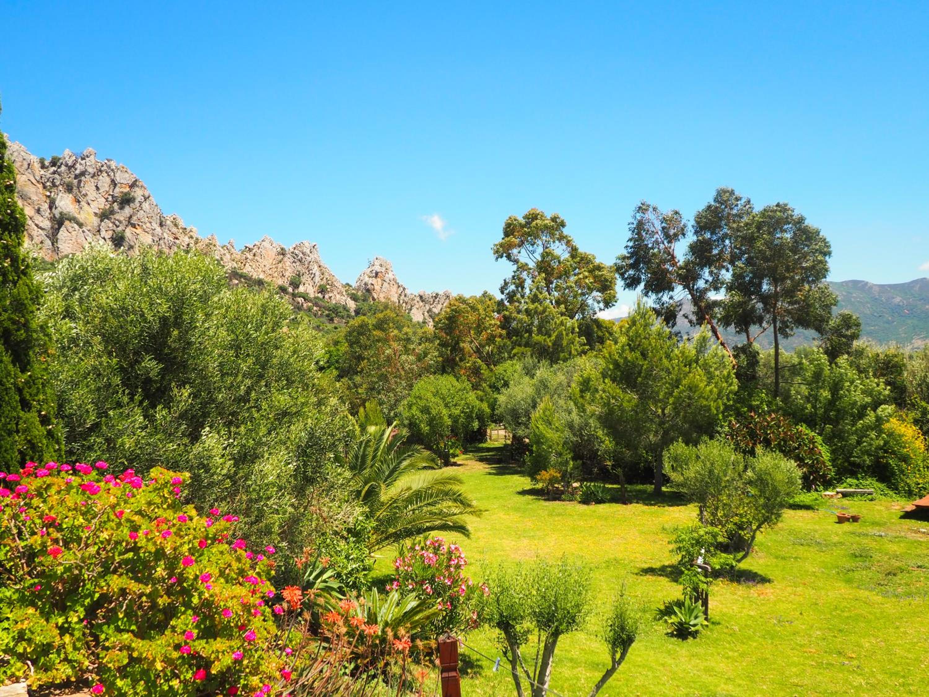 Tarifa Apartement Horses and Nature