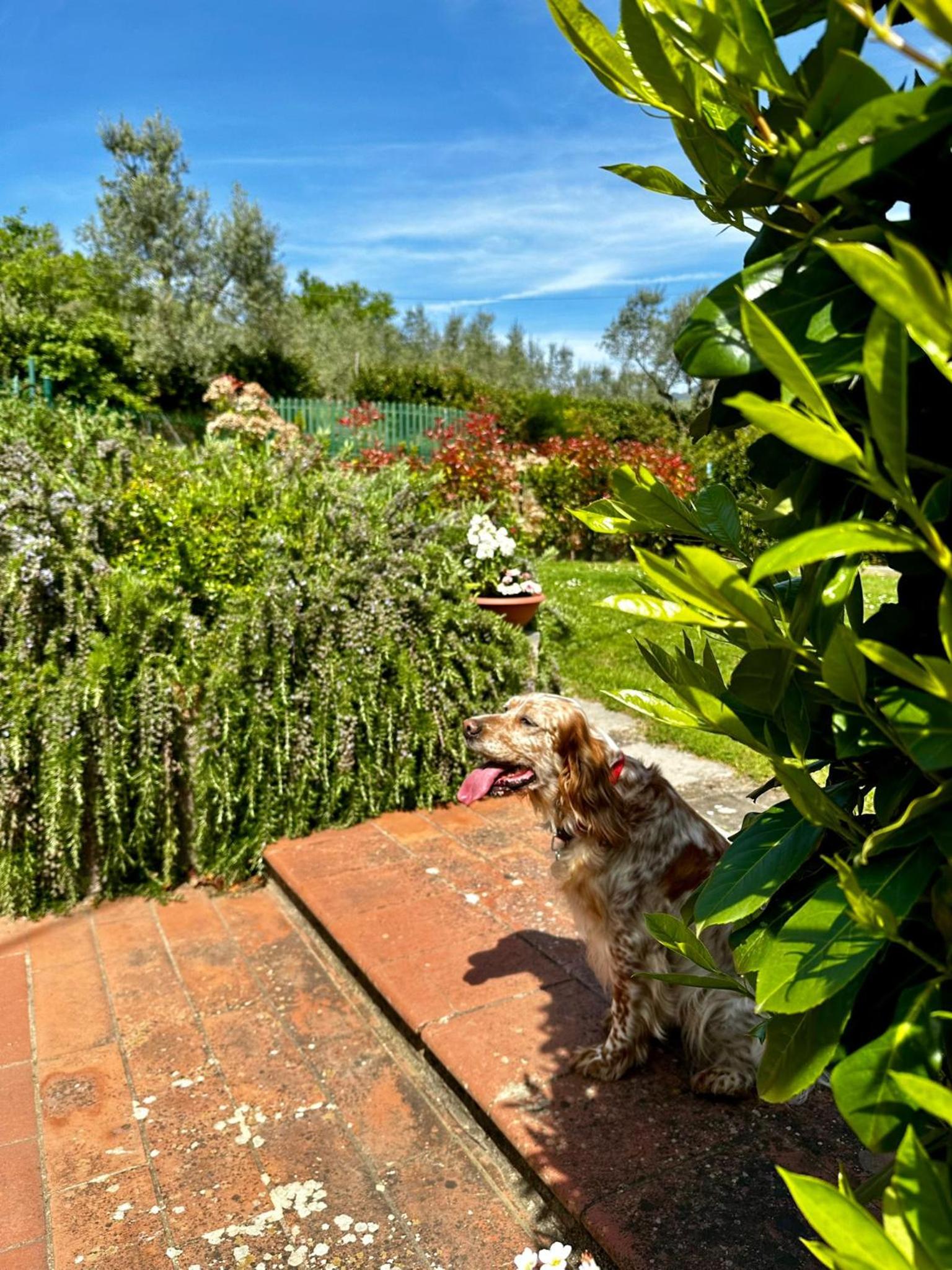 Photo 43