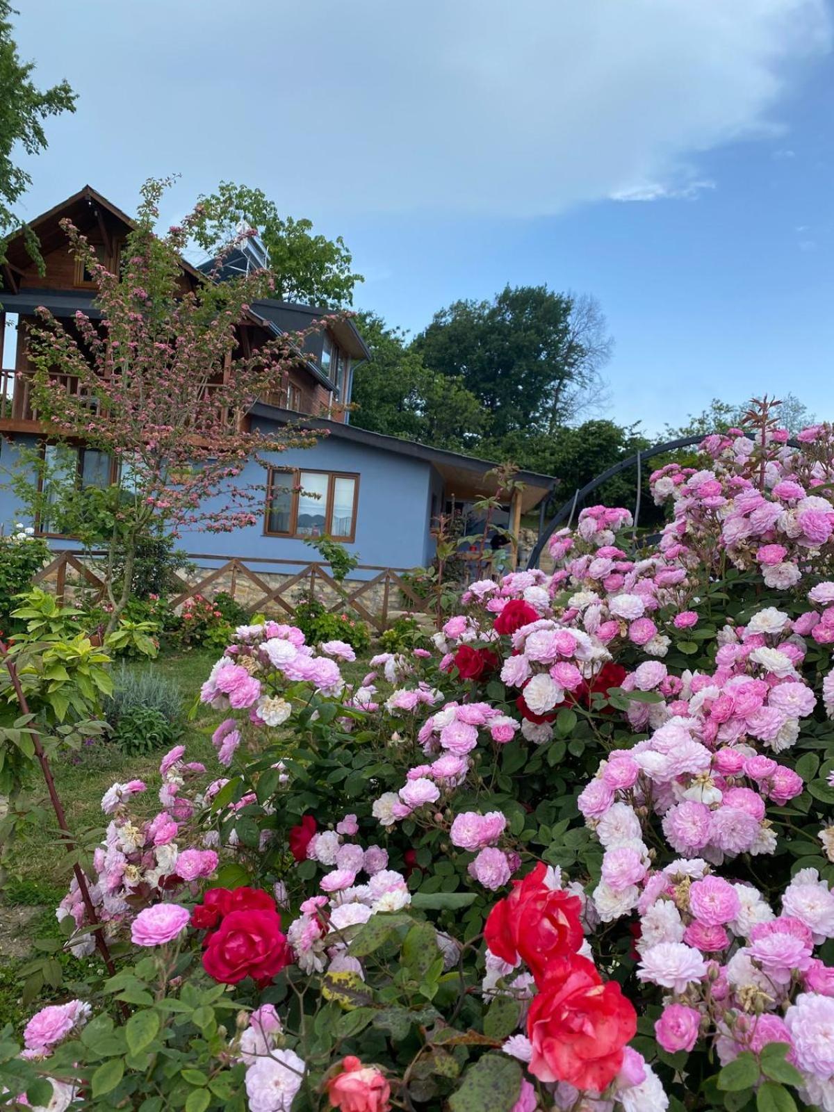ISABELLA Kırsal Yaşam Evi view 3