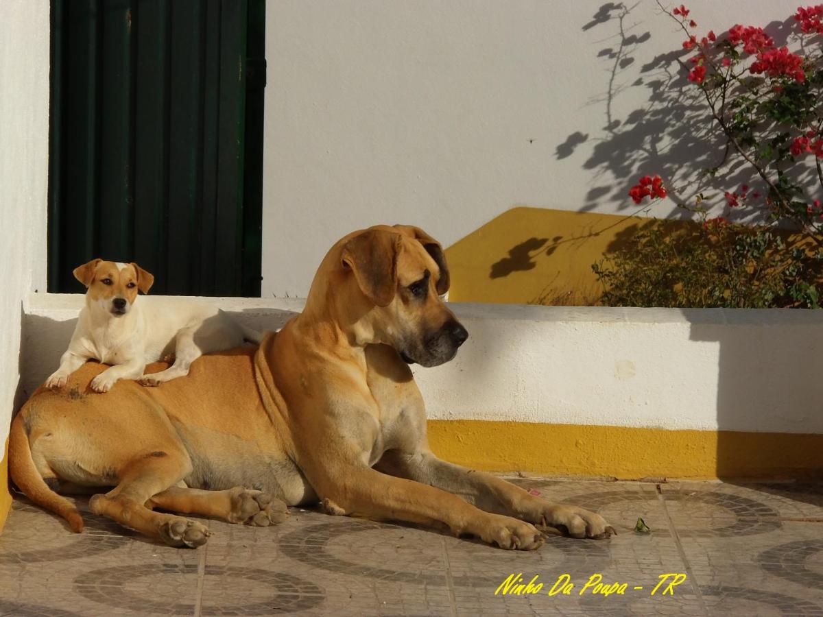 Photo 38
