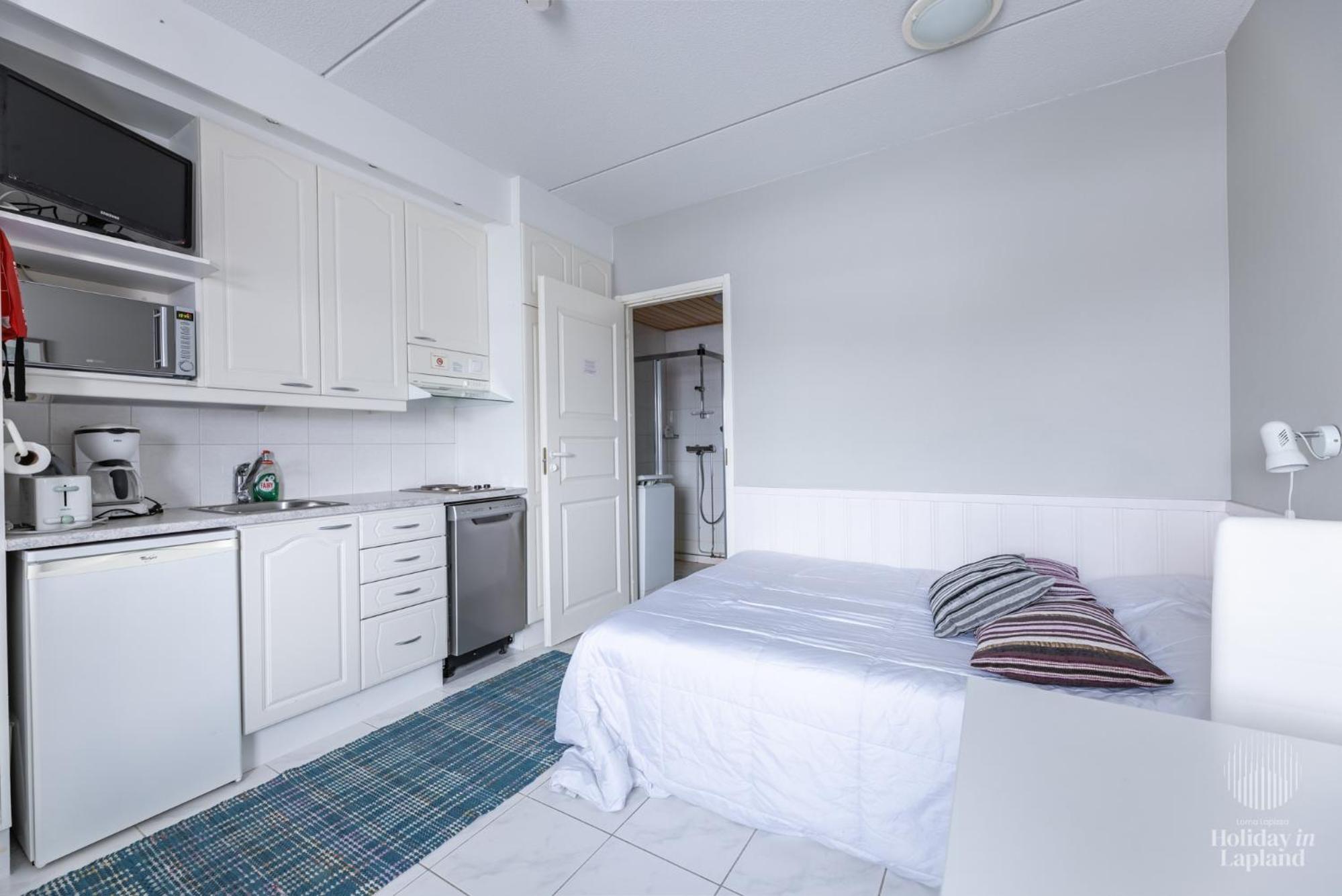 Holiday in Lapland - Levi Moonlight II B304 view 4