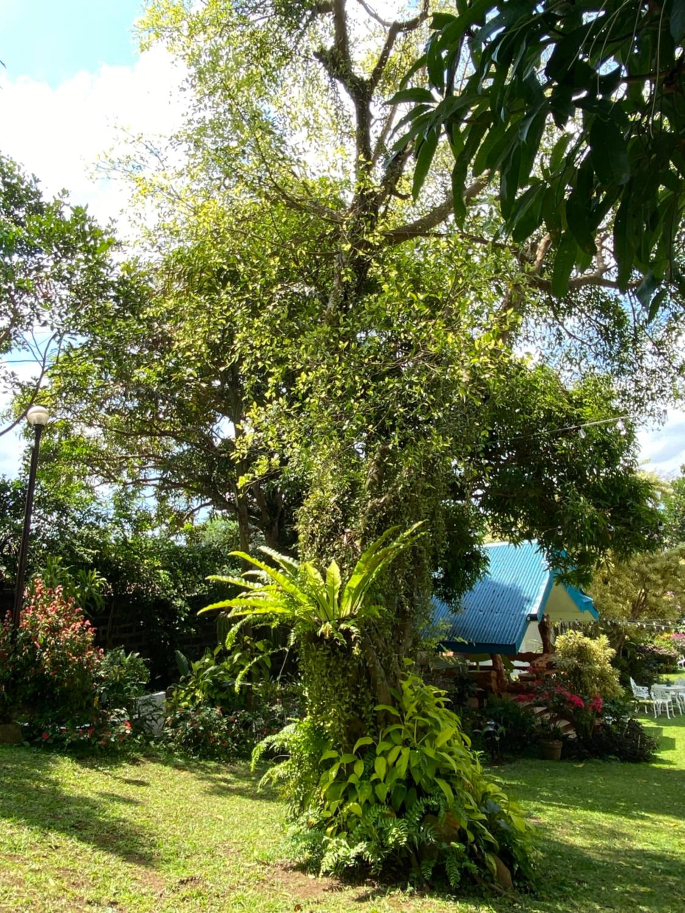 Photo 18