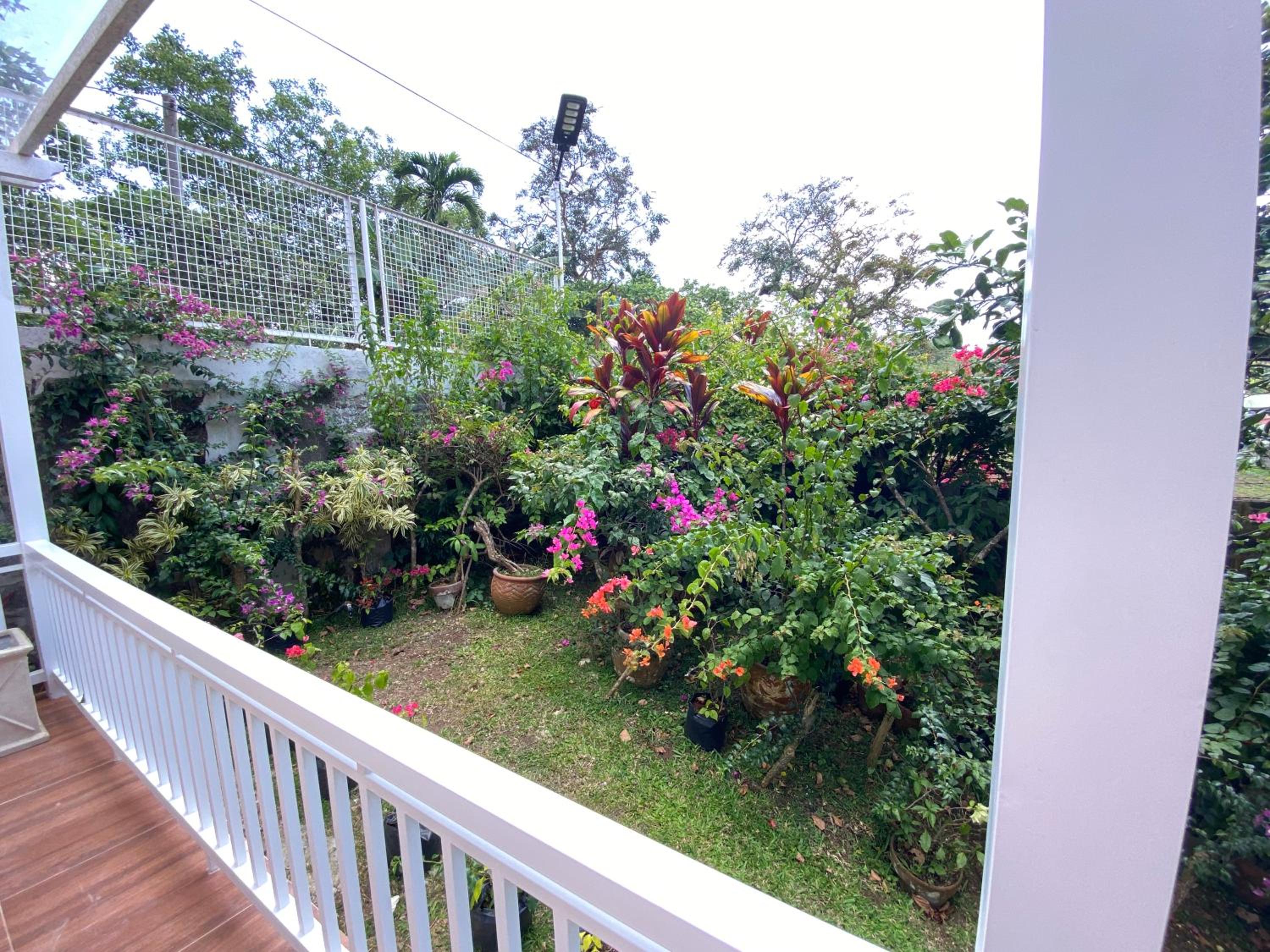 Photo 25