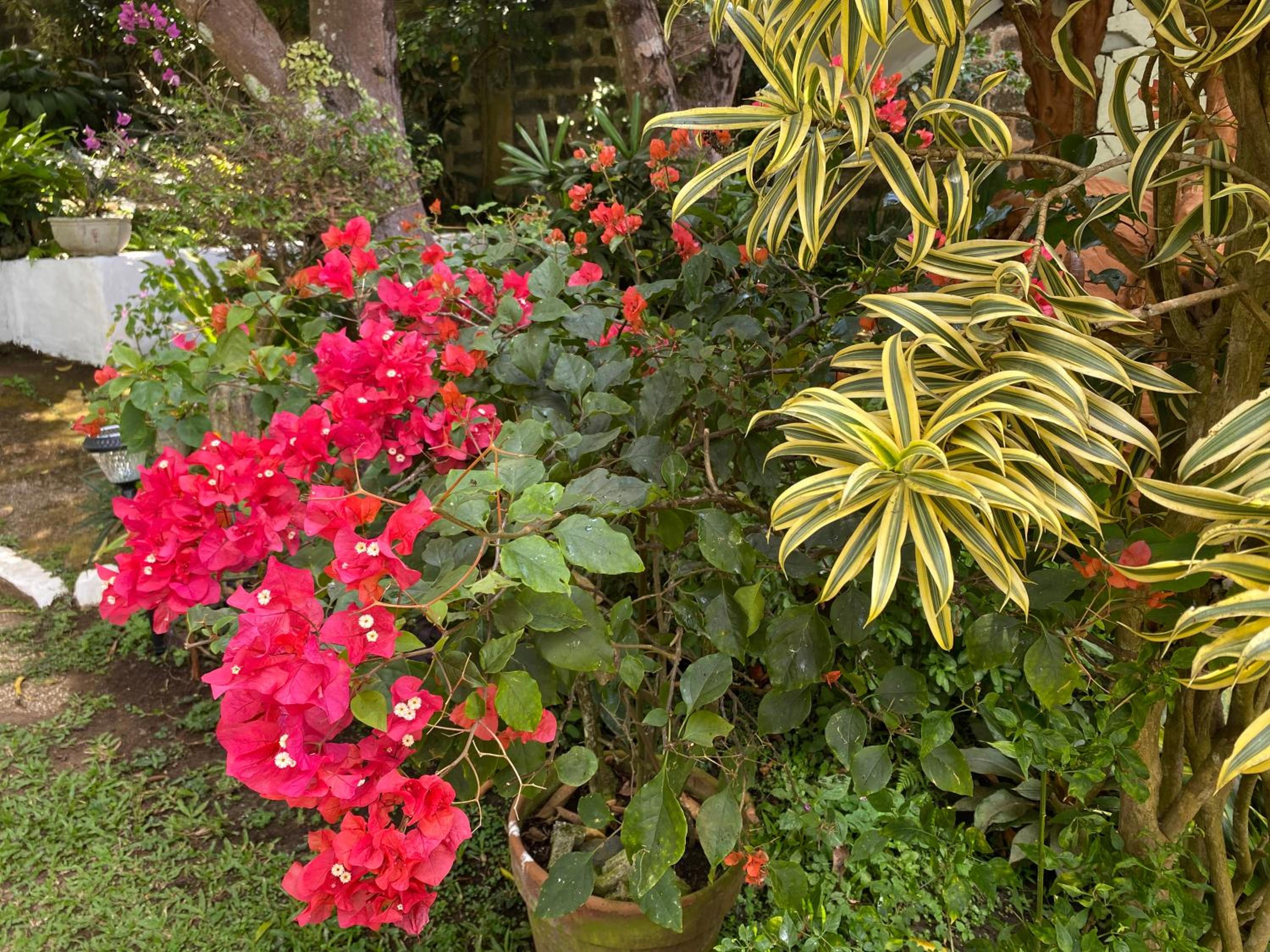 Photo 28