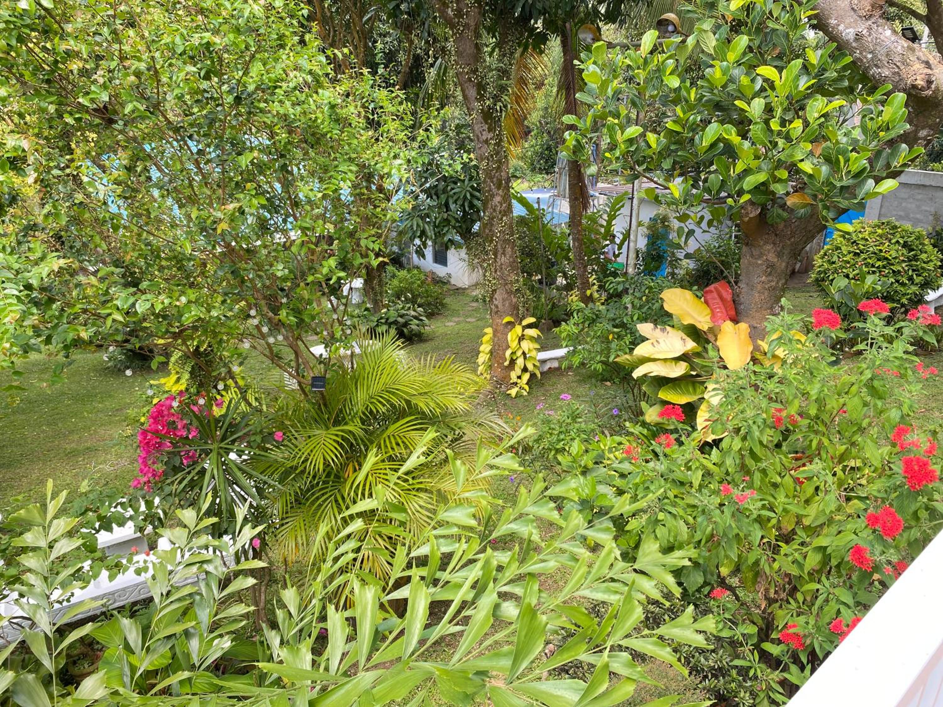 Photo 48