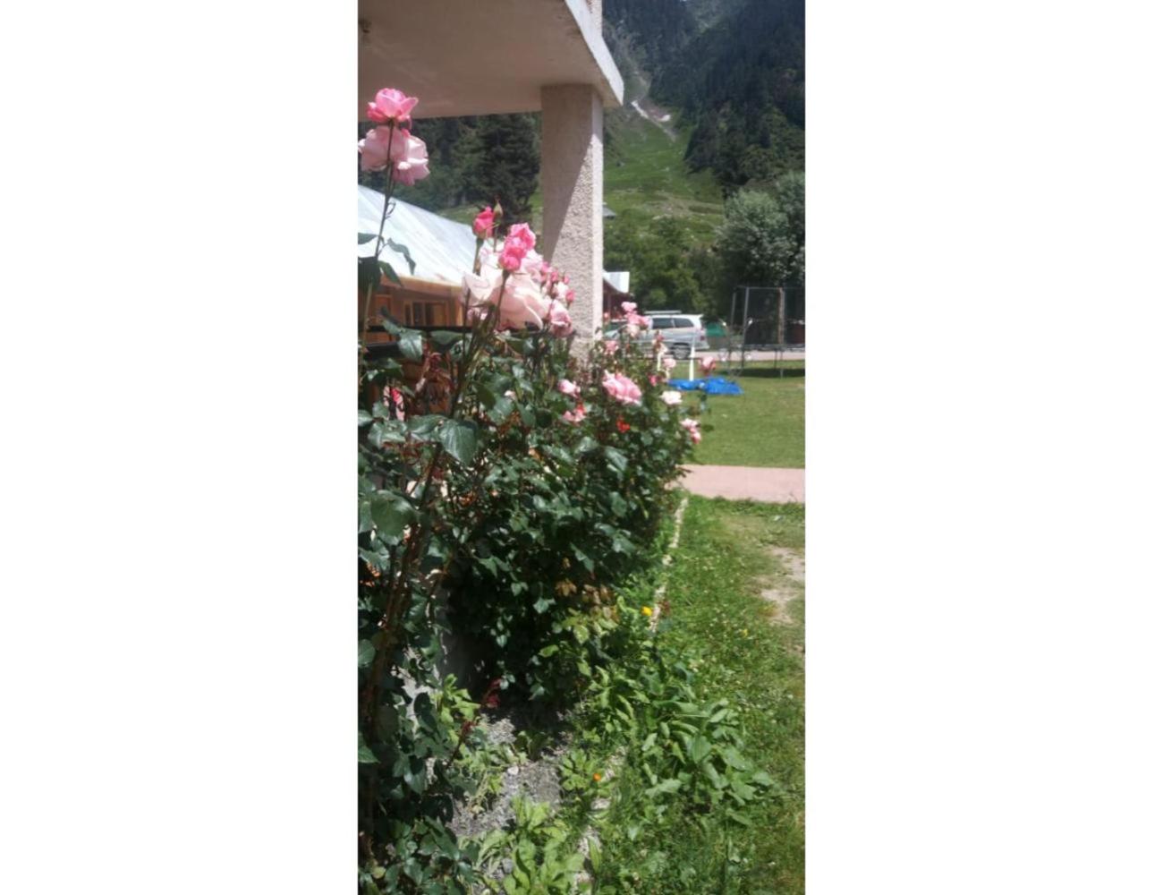 Photo 18