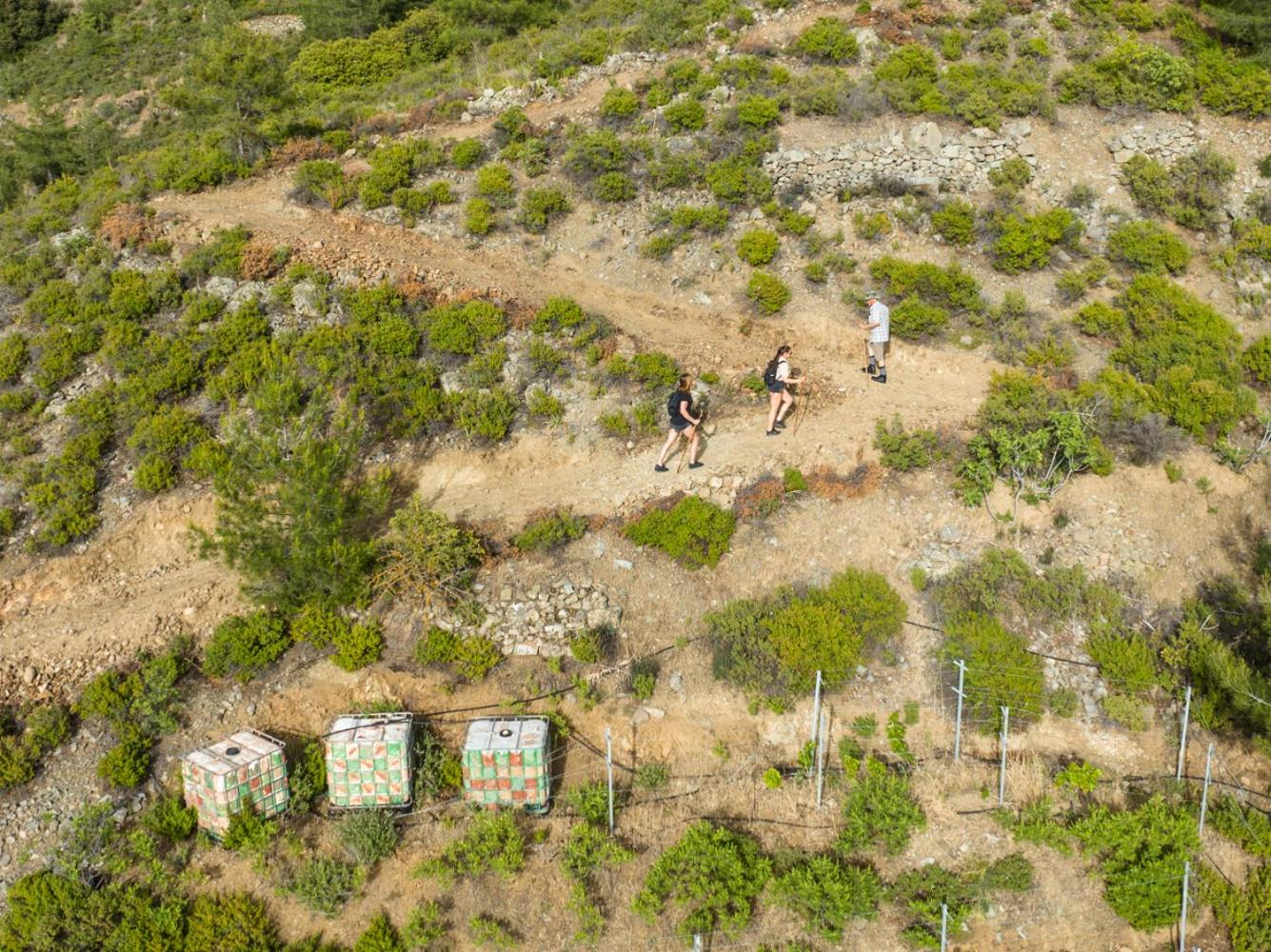 Fikardou Chalets