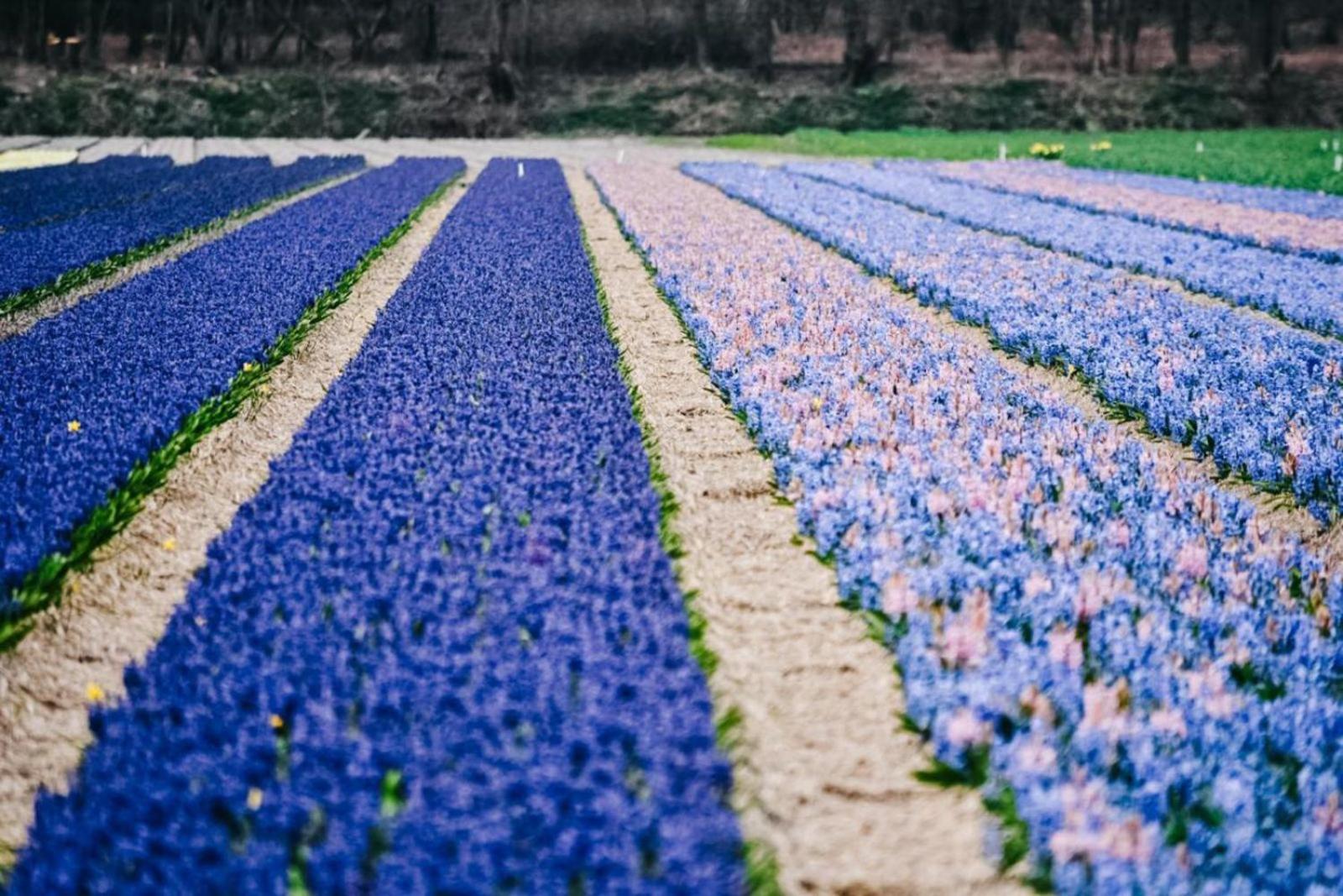 MarinaPark Residentie Bloemendaal