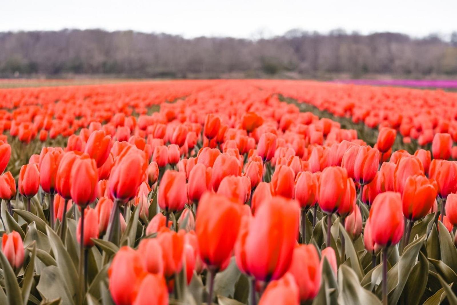 MarinaPark Residentie Bloemendaal