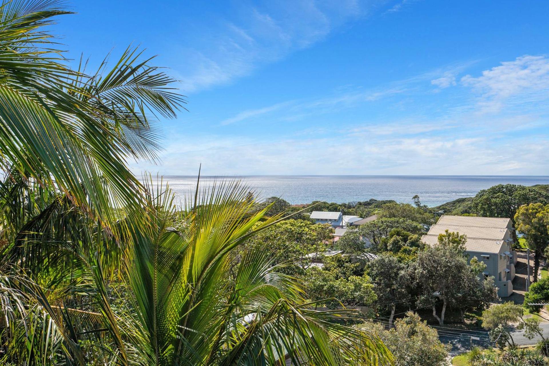 Cylinder Palms