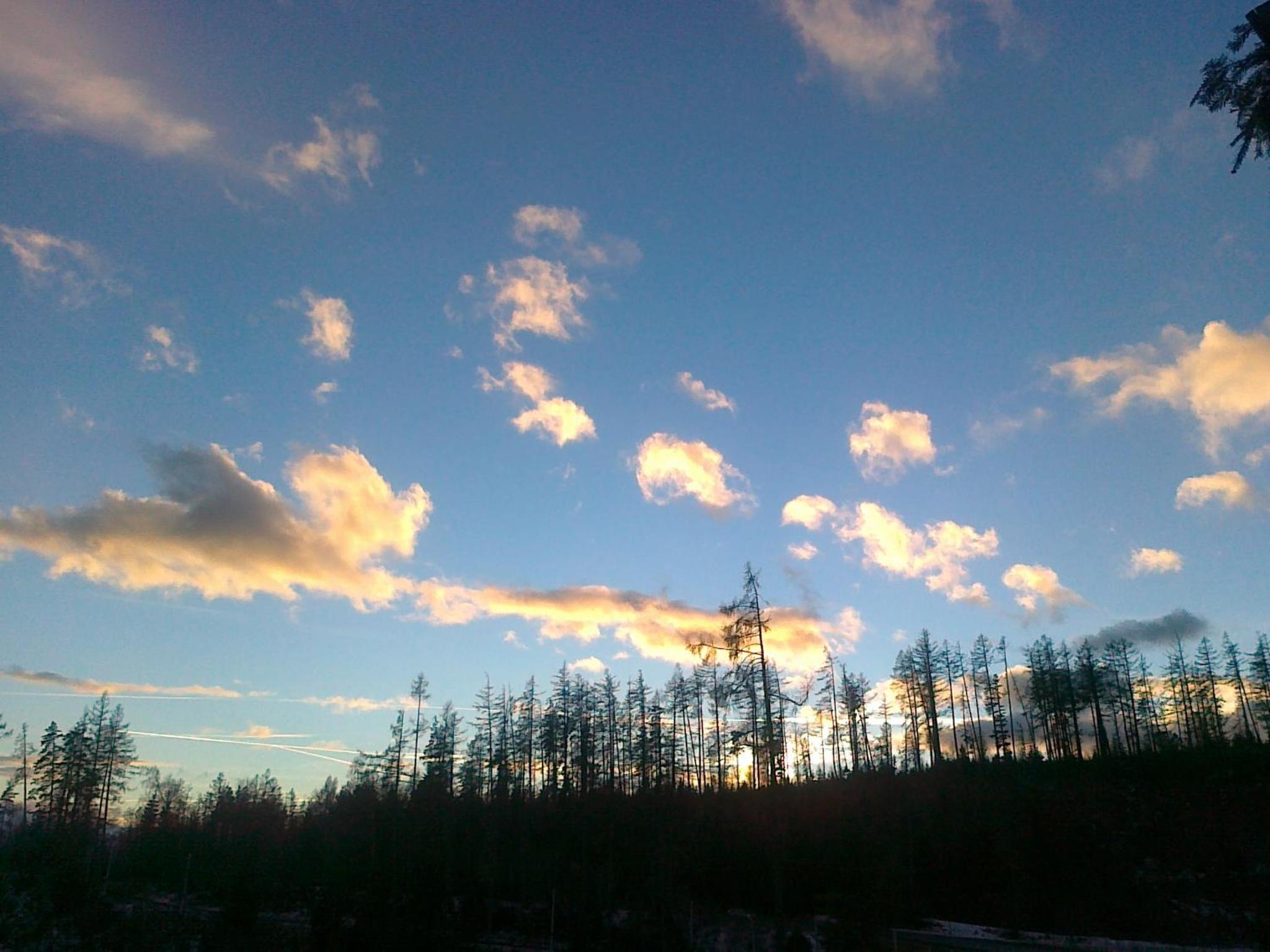Photo 33